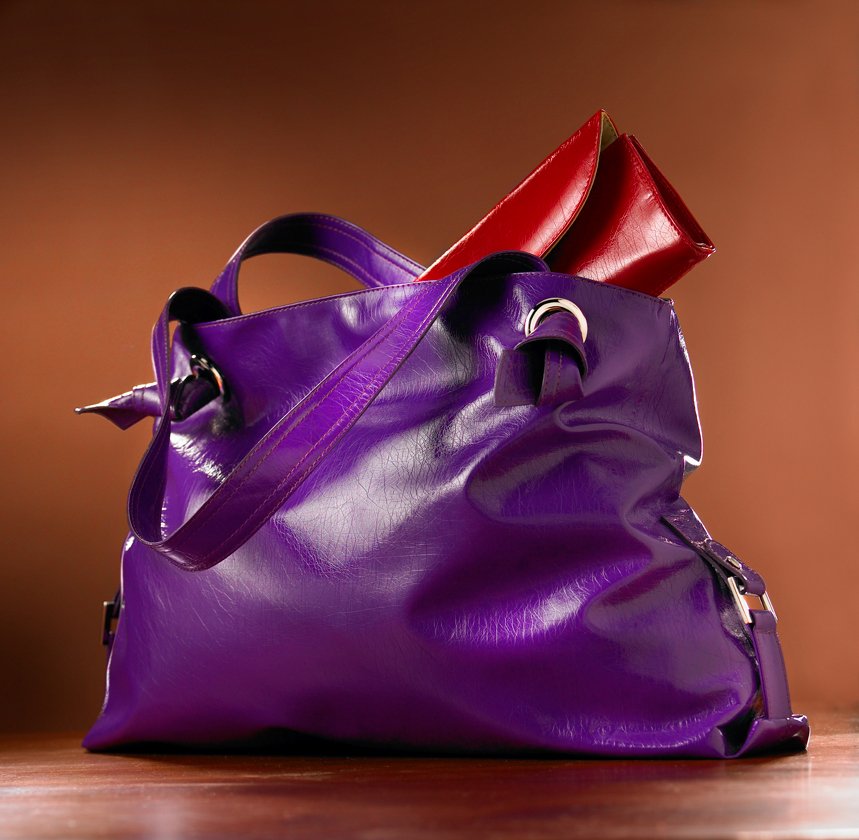 purse_f.jpg