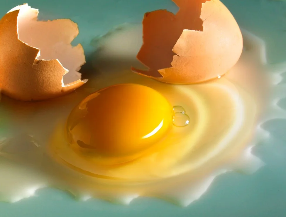 egg crop.jpg