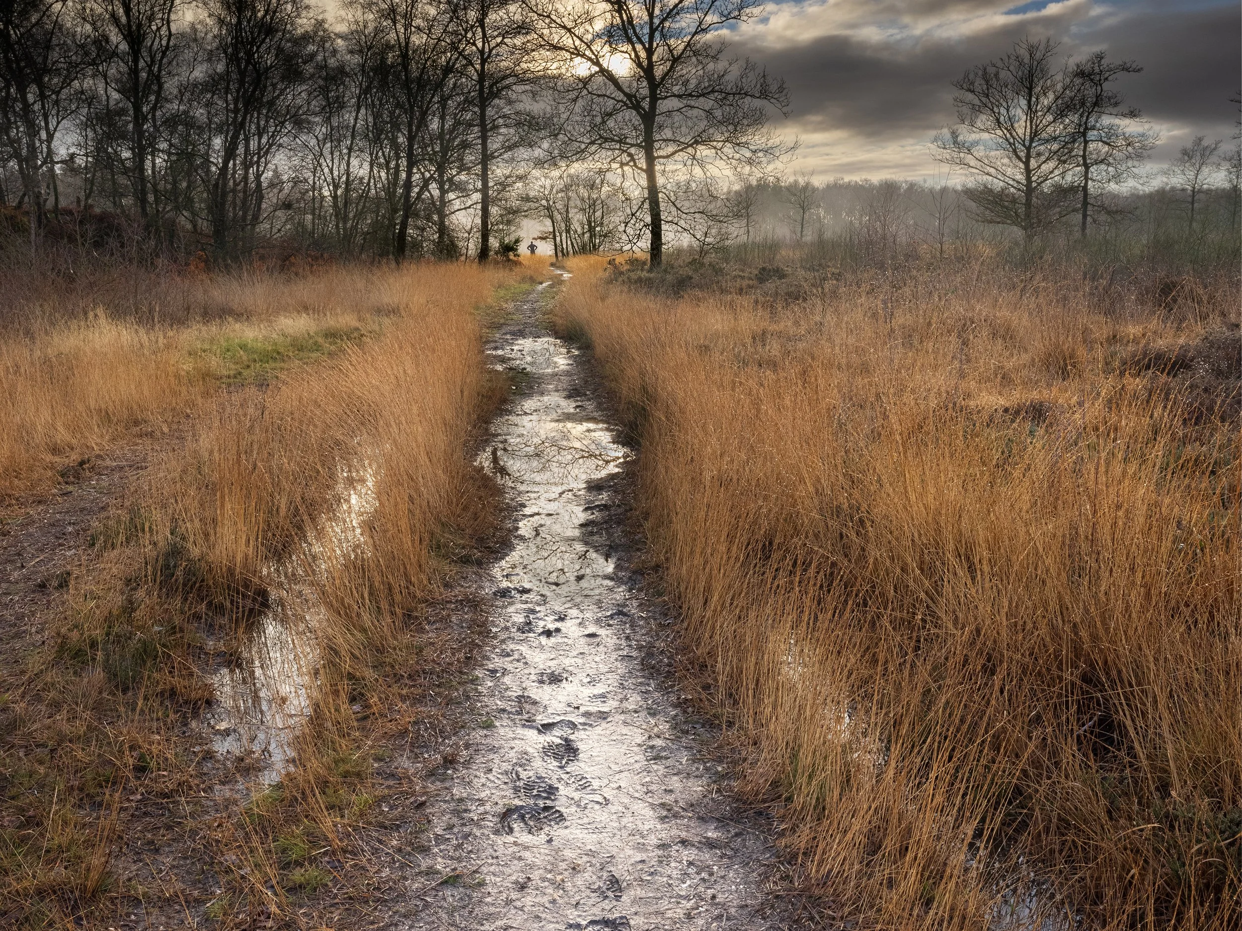 261221_2landscape2.jpg