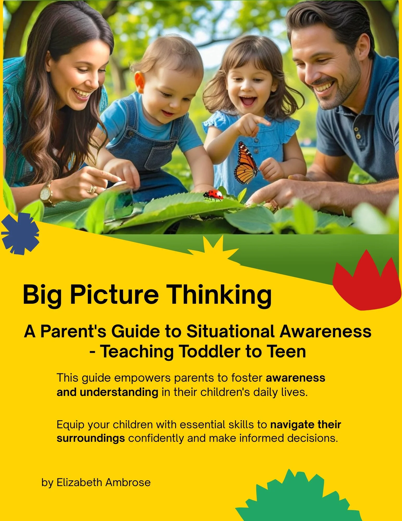 Parent's Guide Situational Awareness Teaching Toddler to Teen Big Picture Thinking, pdf ebook, download.