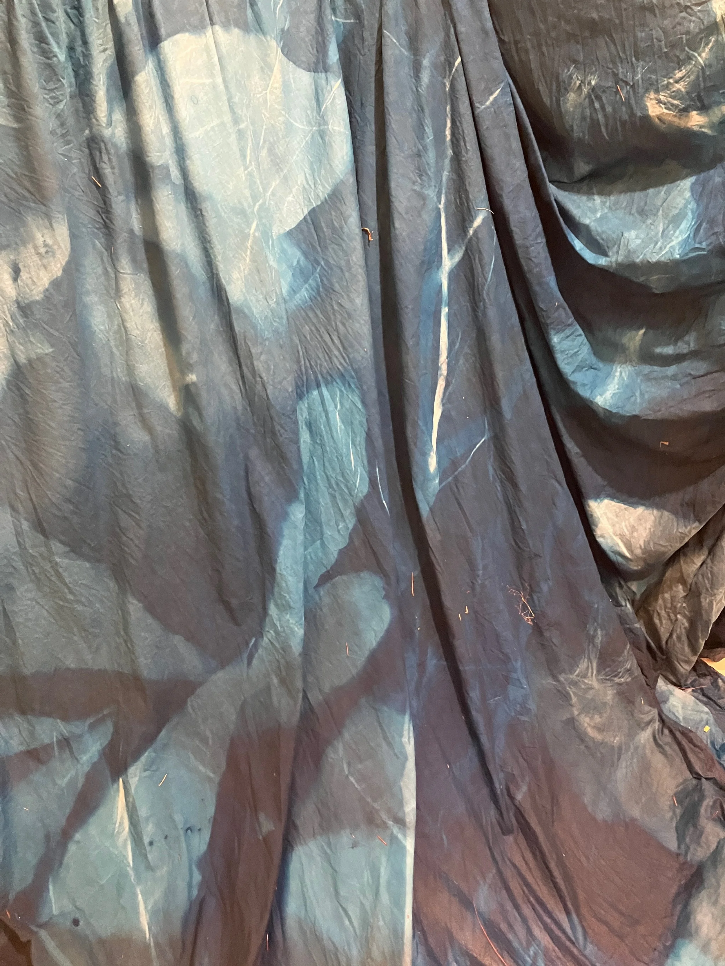 Details from Cyanotype