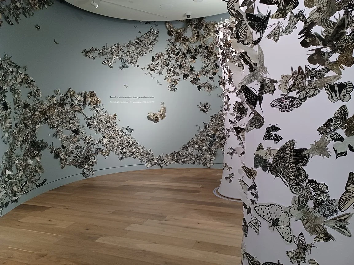Moth Migration Project Exhibition, Denver Botanic Gardens 2022