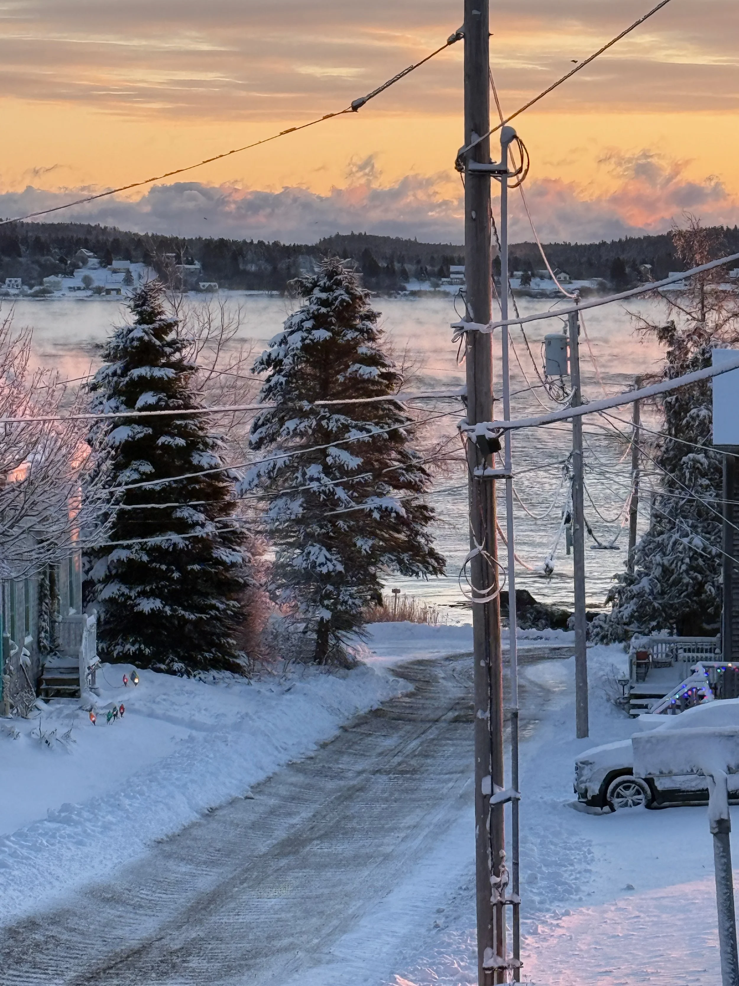 The view from my work table,  Eastport, ME