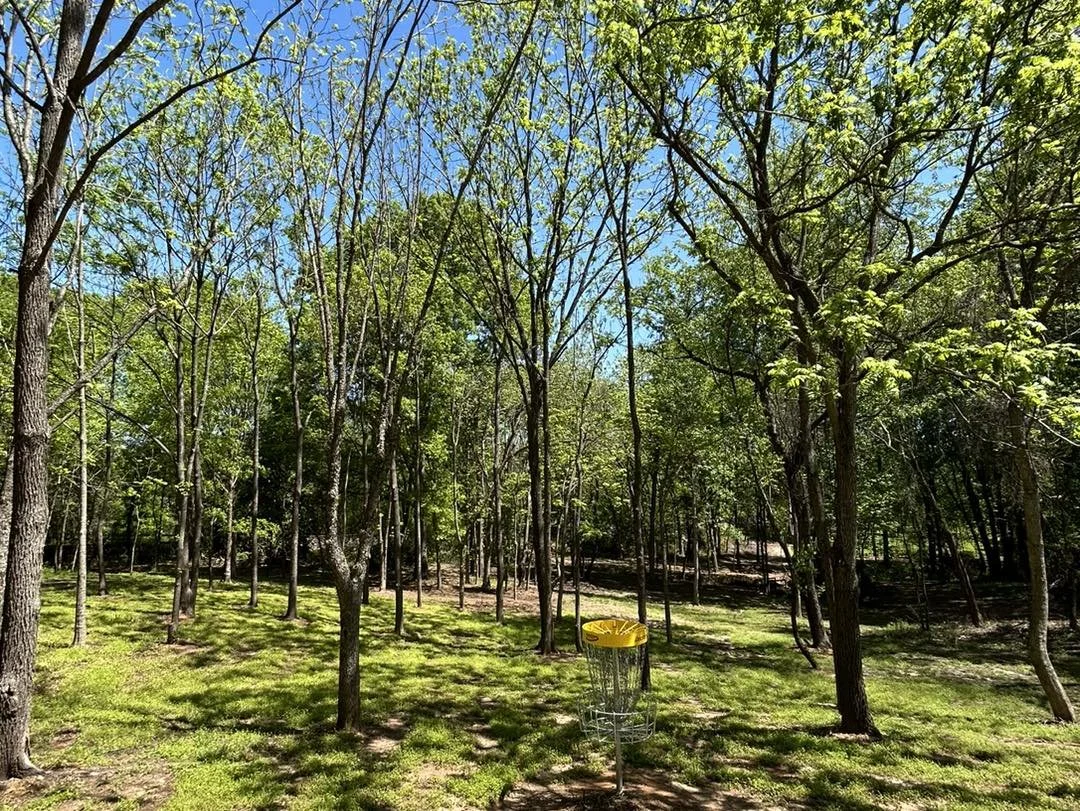 partly wooded area with disc golf basket
