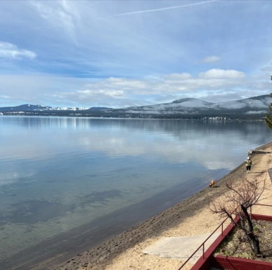 Tahoe trips are better with your dog 🐾
Let them run on our private beach, breathe in that fresh mountain air, and relax right by your side after a day at the lake.
Contact us today to reserve one of our dog-friendly rooms at The Crown!