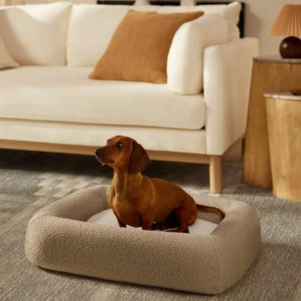 Boucle Pet Bed