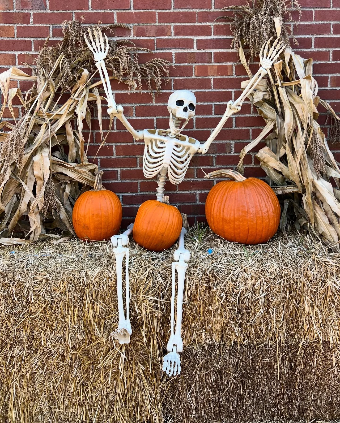 Happy Halloween Friends! 👻 
.
.
.
.
.
#spookyseason #halloweendecor #bicoastalliving #sandiegointeriordesigner #eastcoastinteriordesigner #understatedhalloween #studiohenree