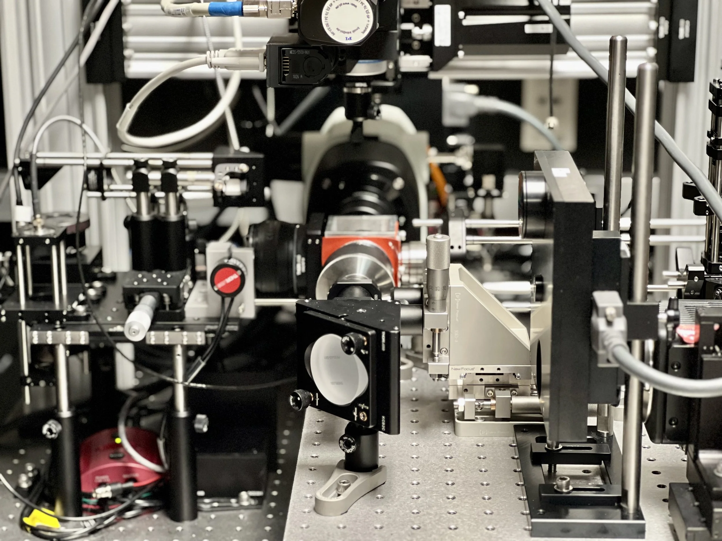 2024-04-17 - Microscope 2.jpeg