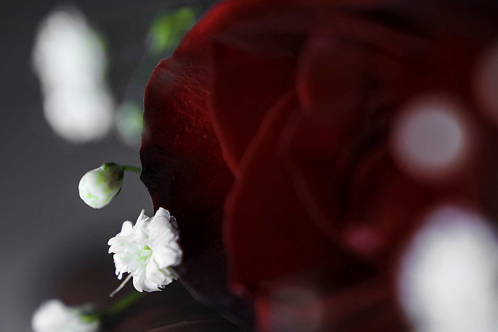 macroaubrimikels2 copy.png