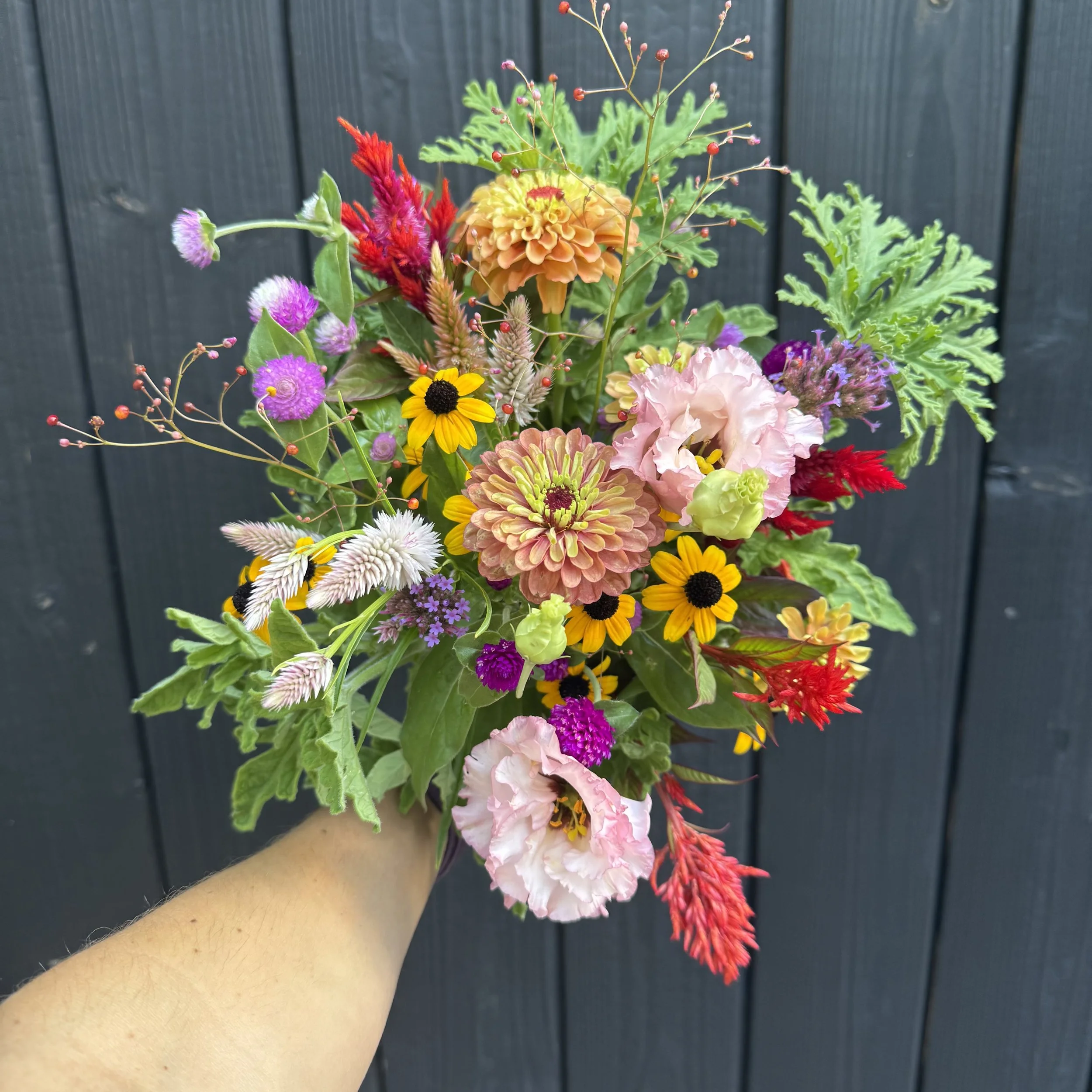 August Summer Fleurette