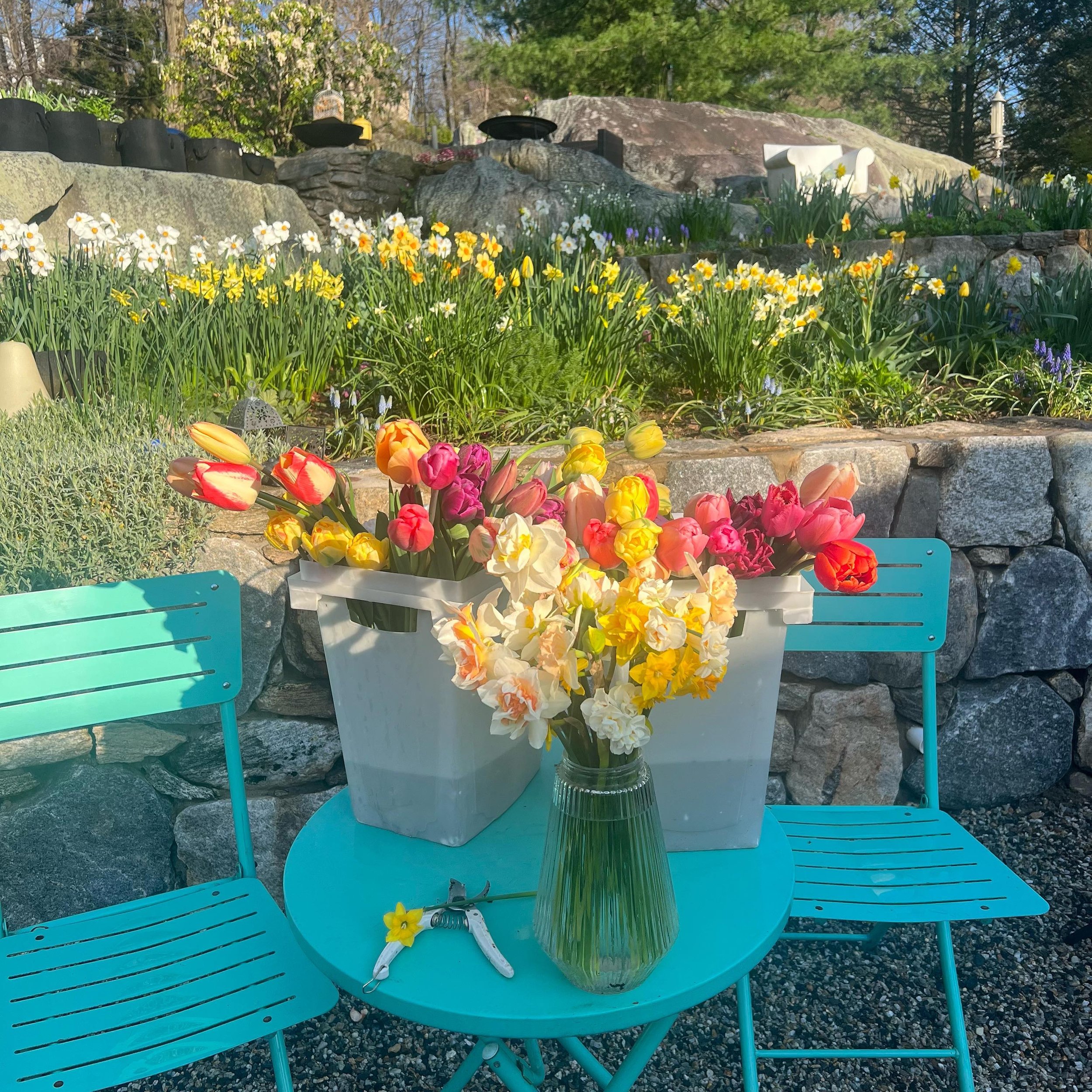 Spring morning routine 🌸. It starts early at 6 am. I harvest my flowers early in the morning to ensure best quality and freshness. They make a great gift to welcome a client in their new home, to say thank you to a teacher or care giver, to tell som