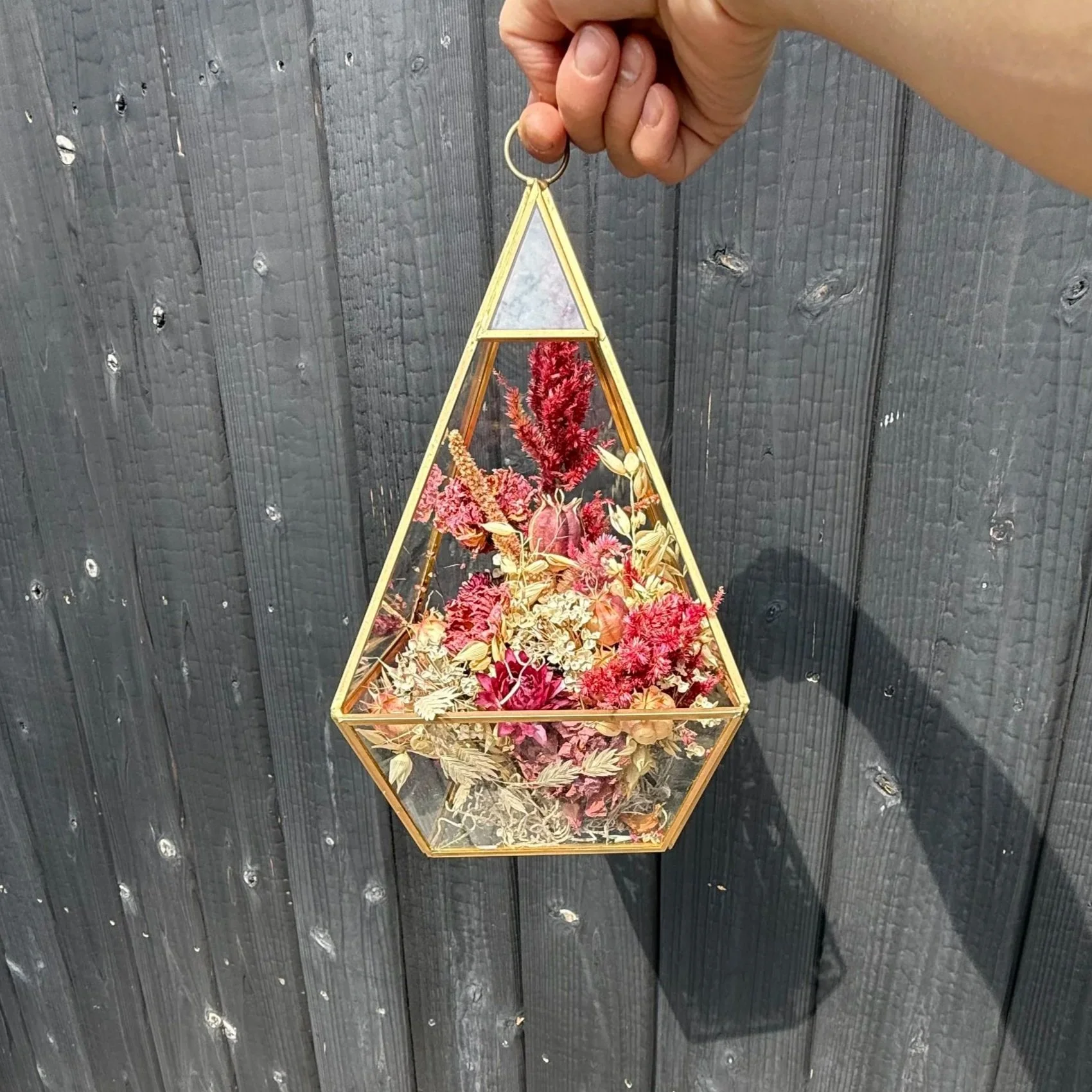 Le triangle large terrarium