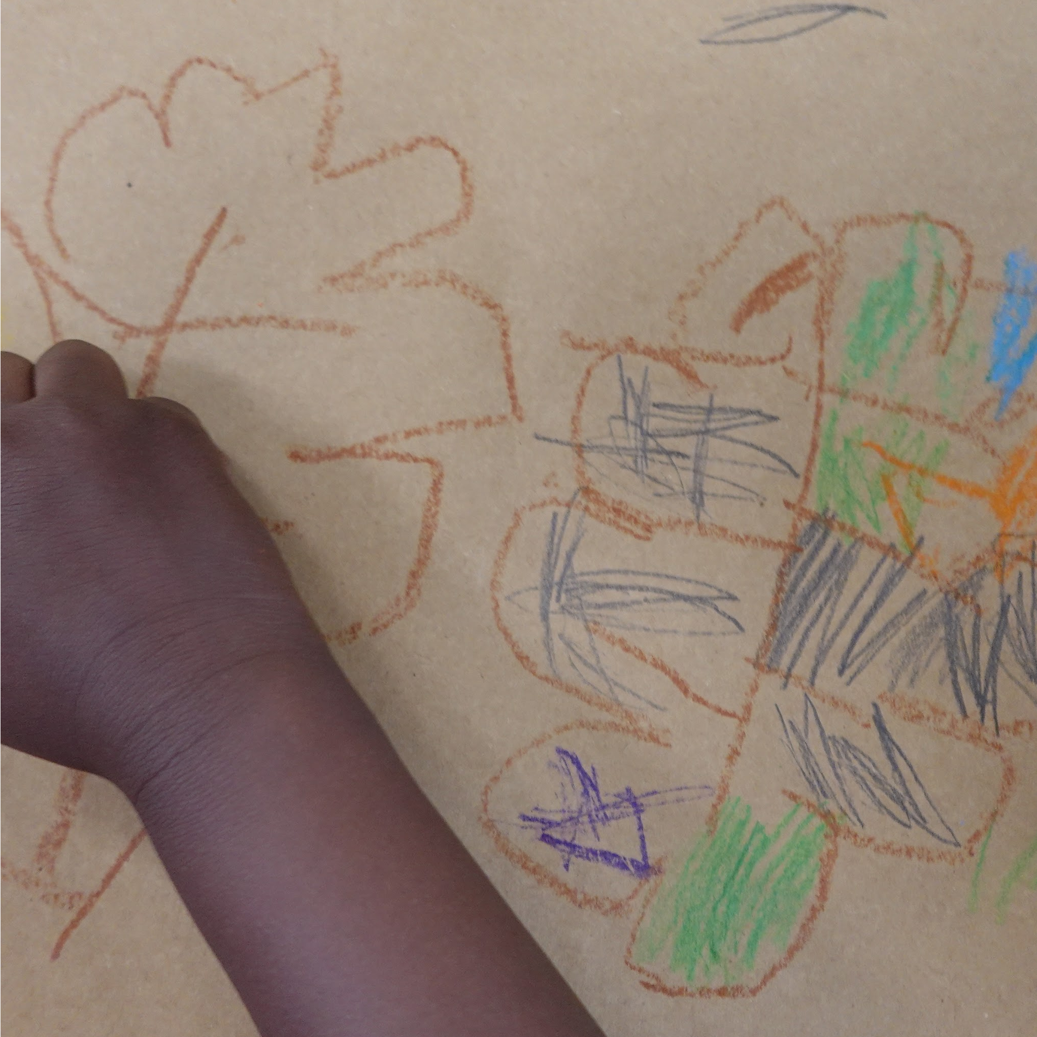 observational drawing.png