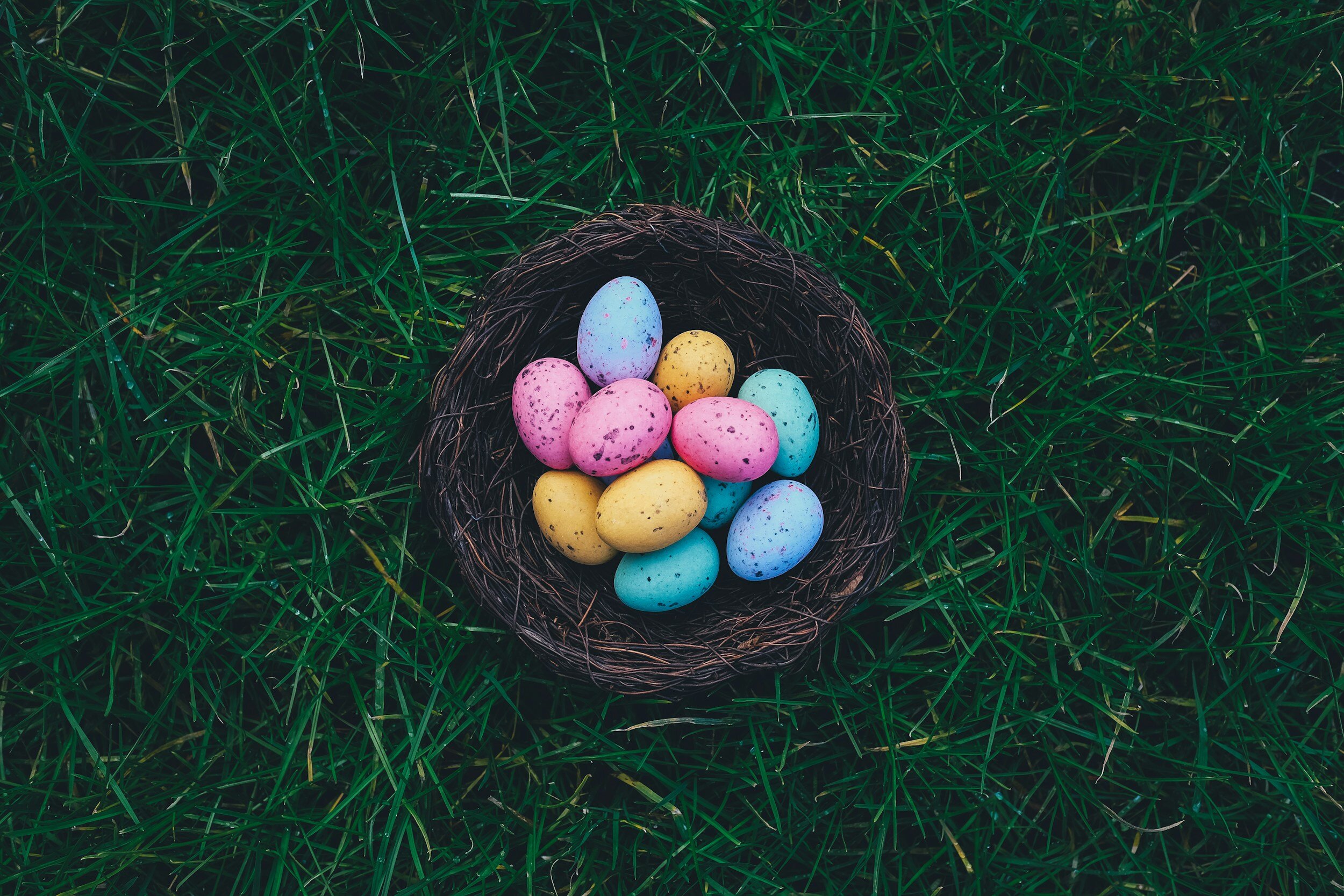 Nursery closed for Easter weekend (Copy)