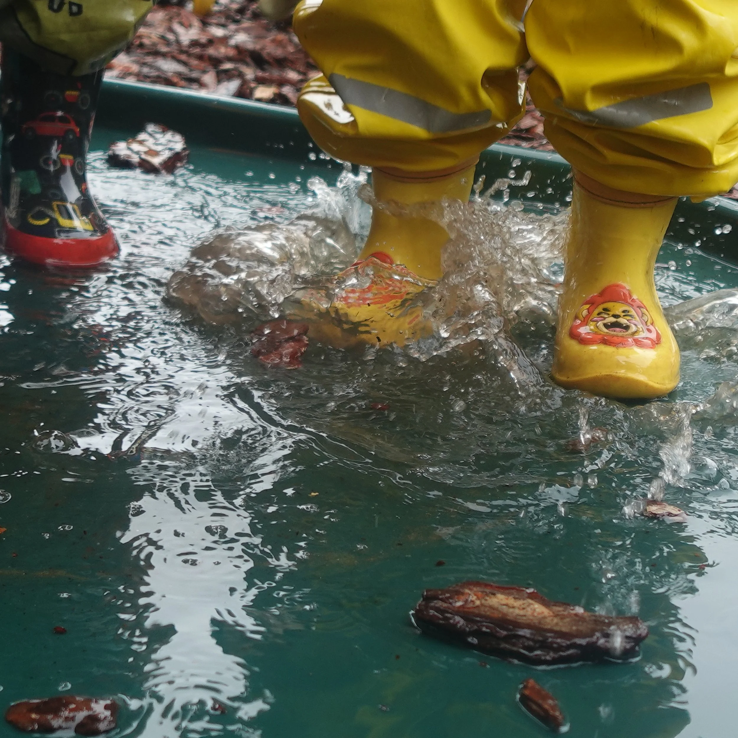 curiosity, kindness and connection copy.jpg