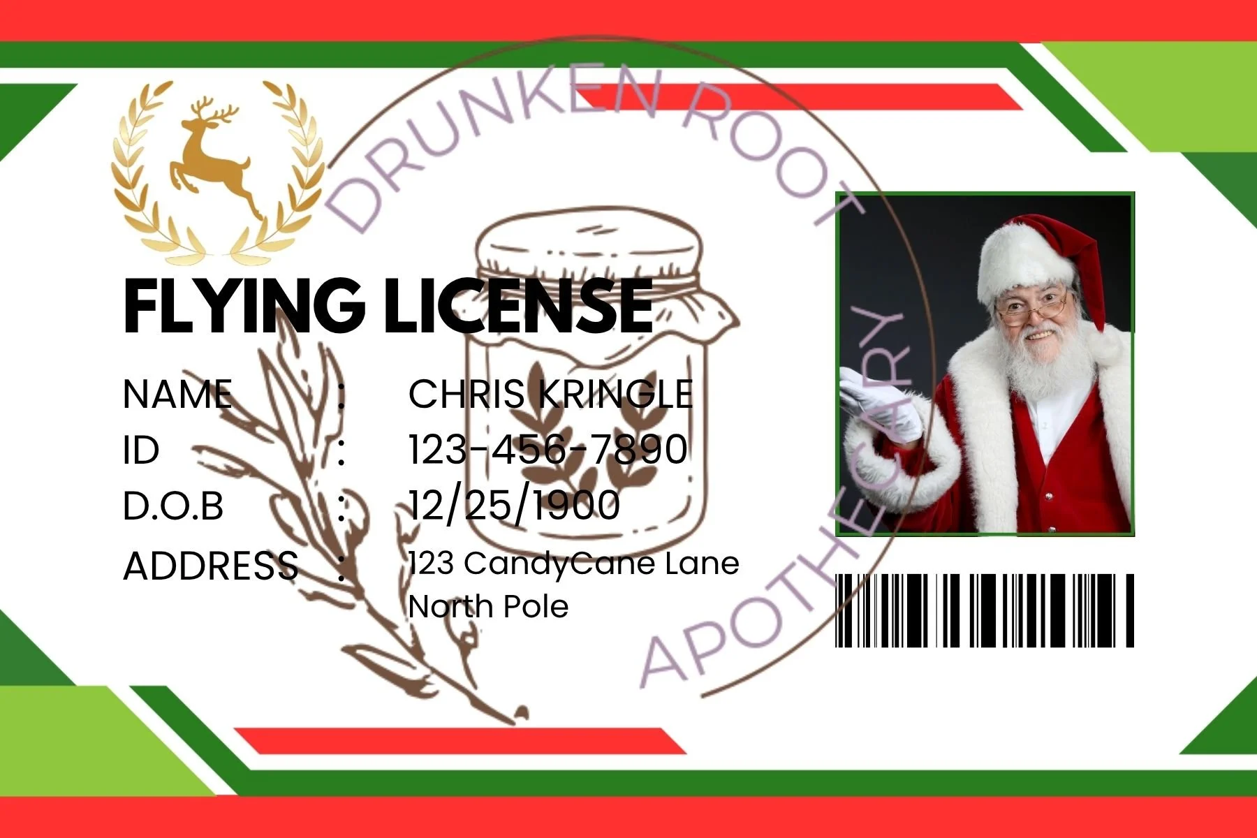 Copy of Flying License.jpg