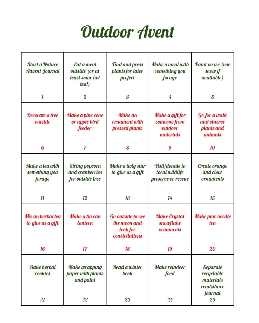 Outdoor Advent calendar photo.jpg