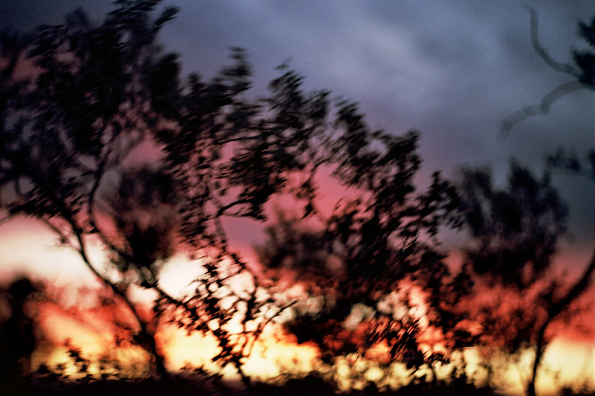 __9_0548.jpg