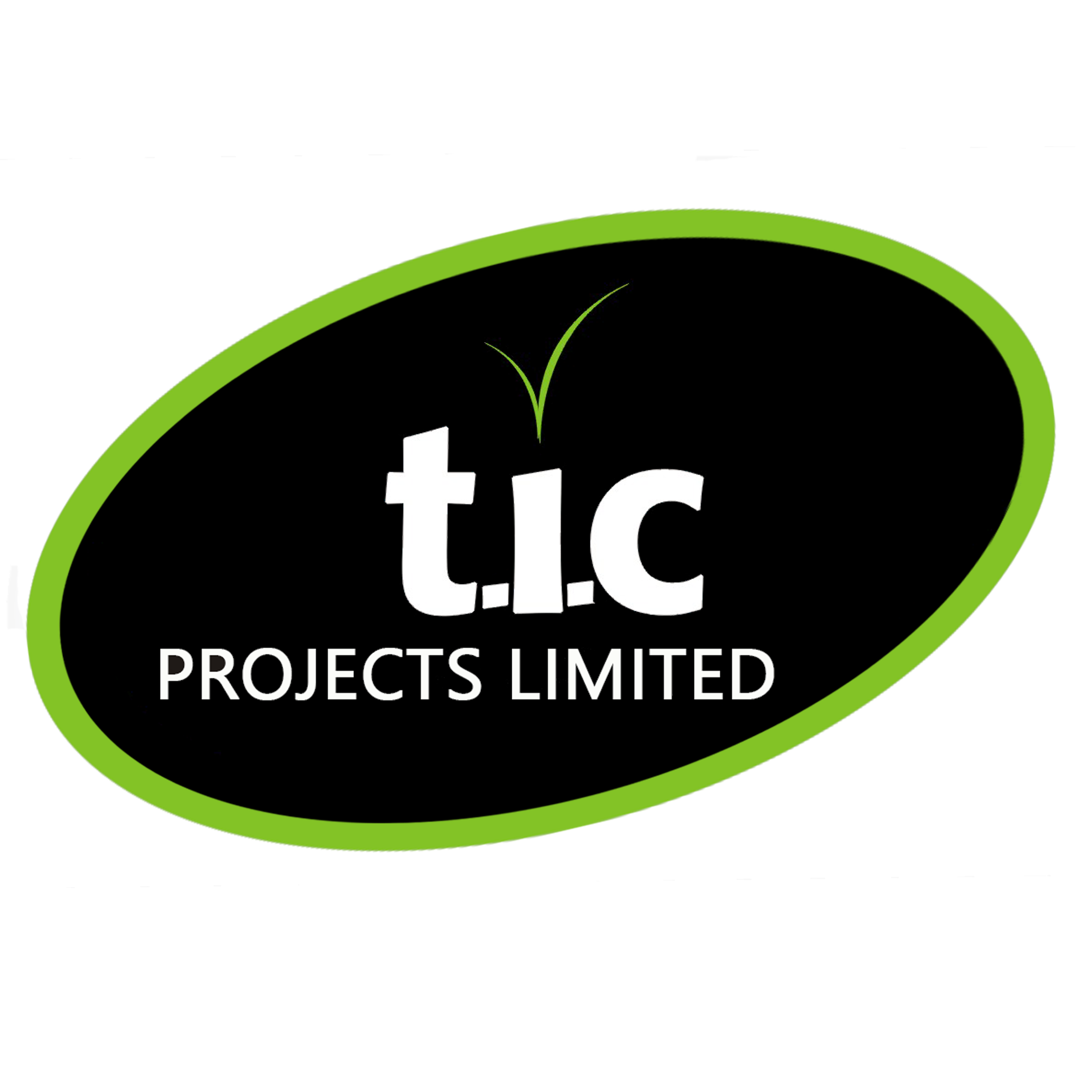 TIC Projects
