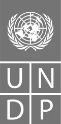 UNDP_logo.svg.webp