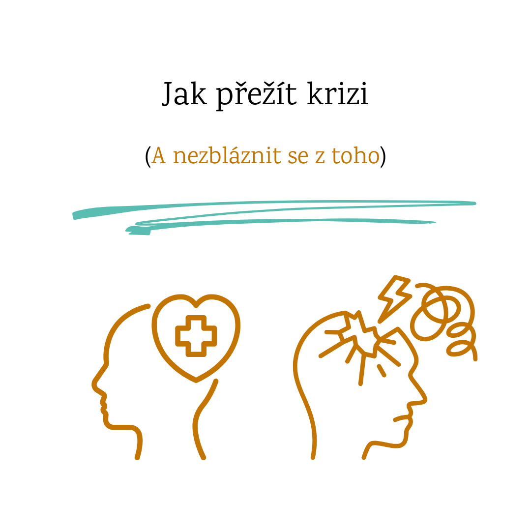 Jak přežít krizi                        (a nezbláznit se z ní)