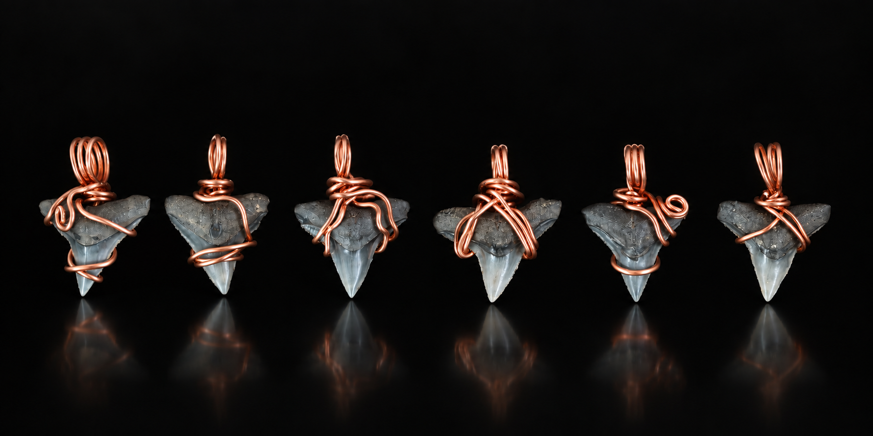 The Instinct Within - Shark Tooth Collection