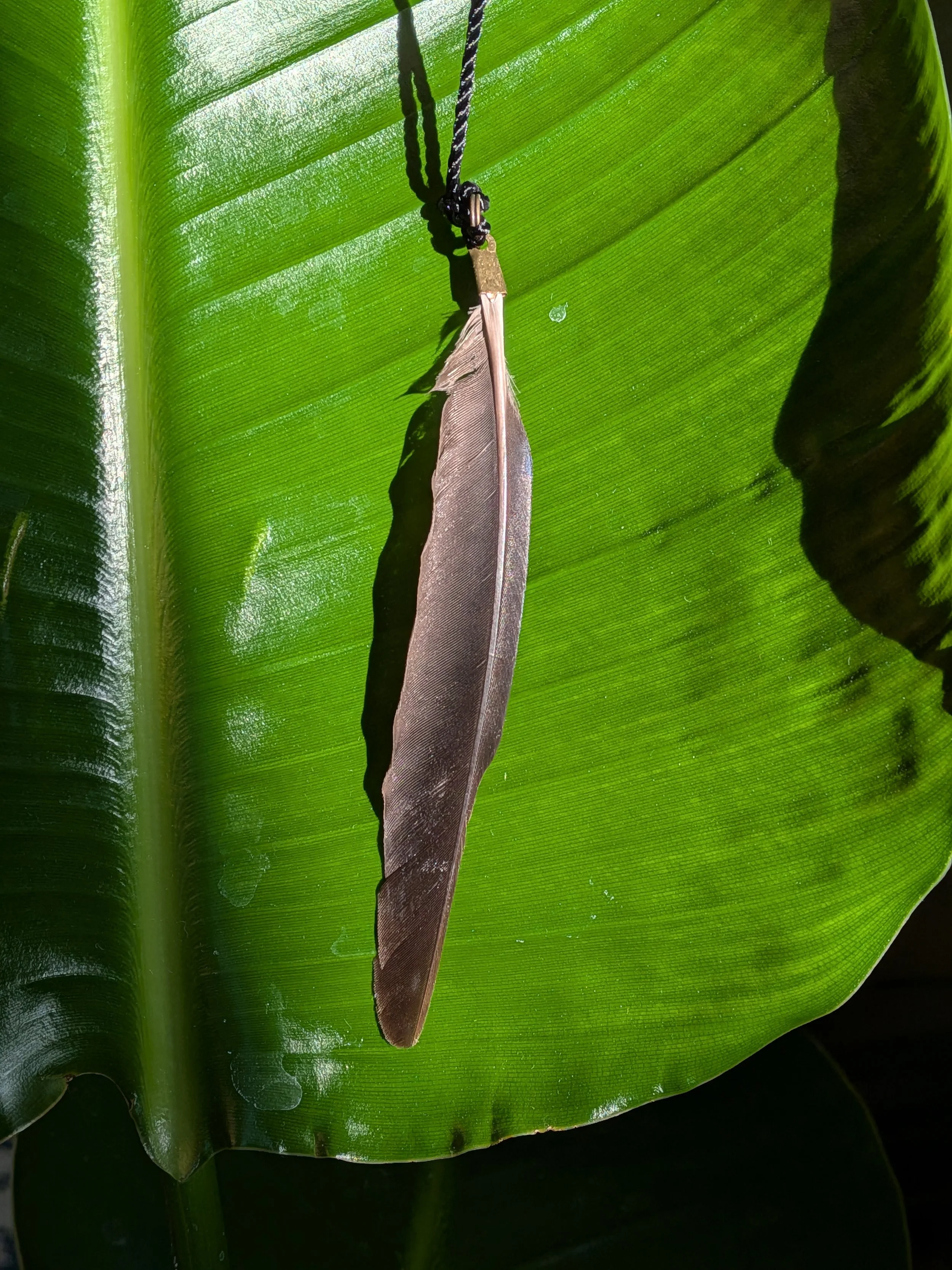 Shop Feather Pendants