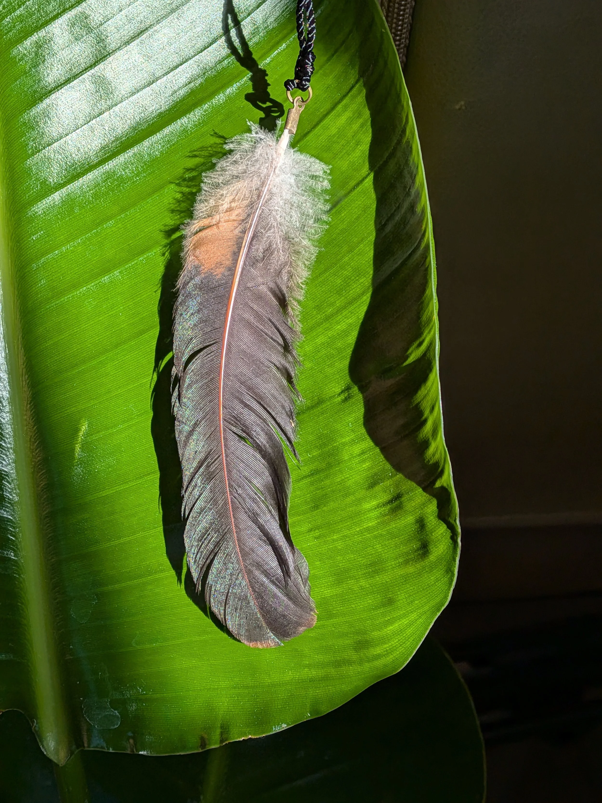 Shop Feather Pendants 