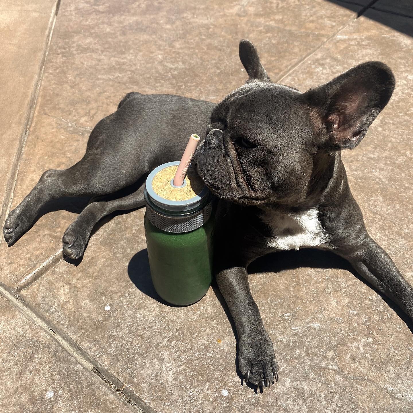 Friendly reminder to get those greens in. If Bear can do it, so can you 😉🥬