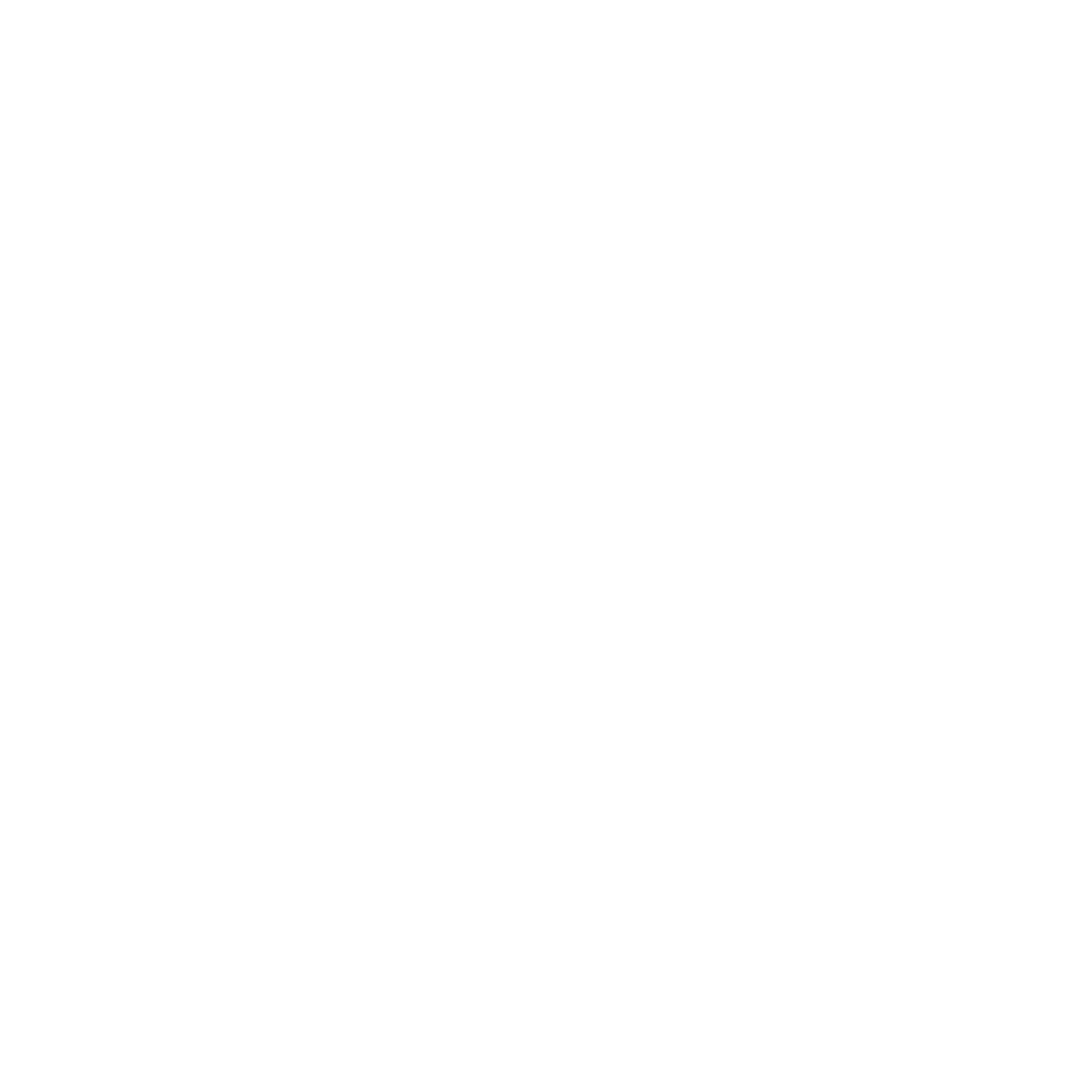 LOGO white.png