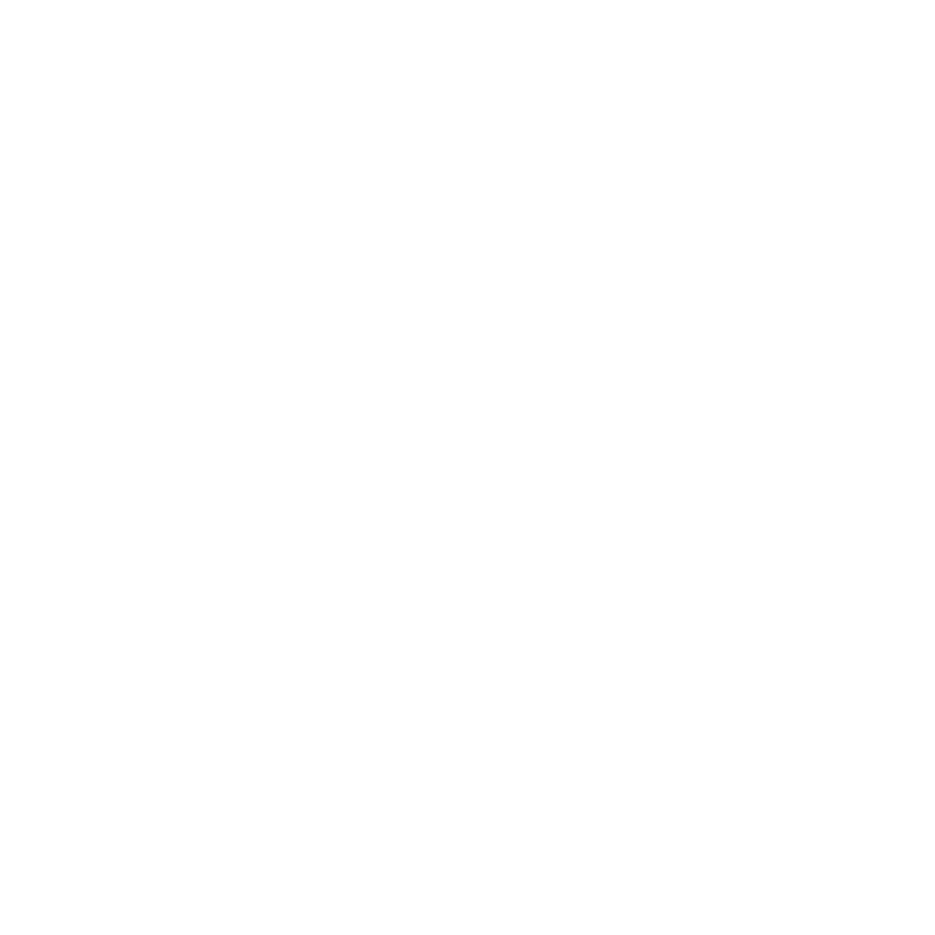 LOGO white 2.png