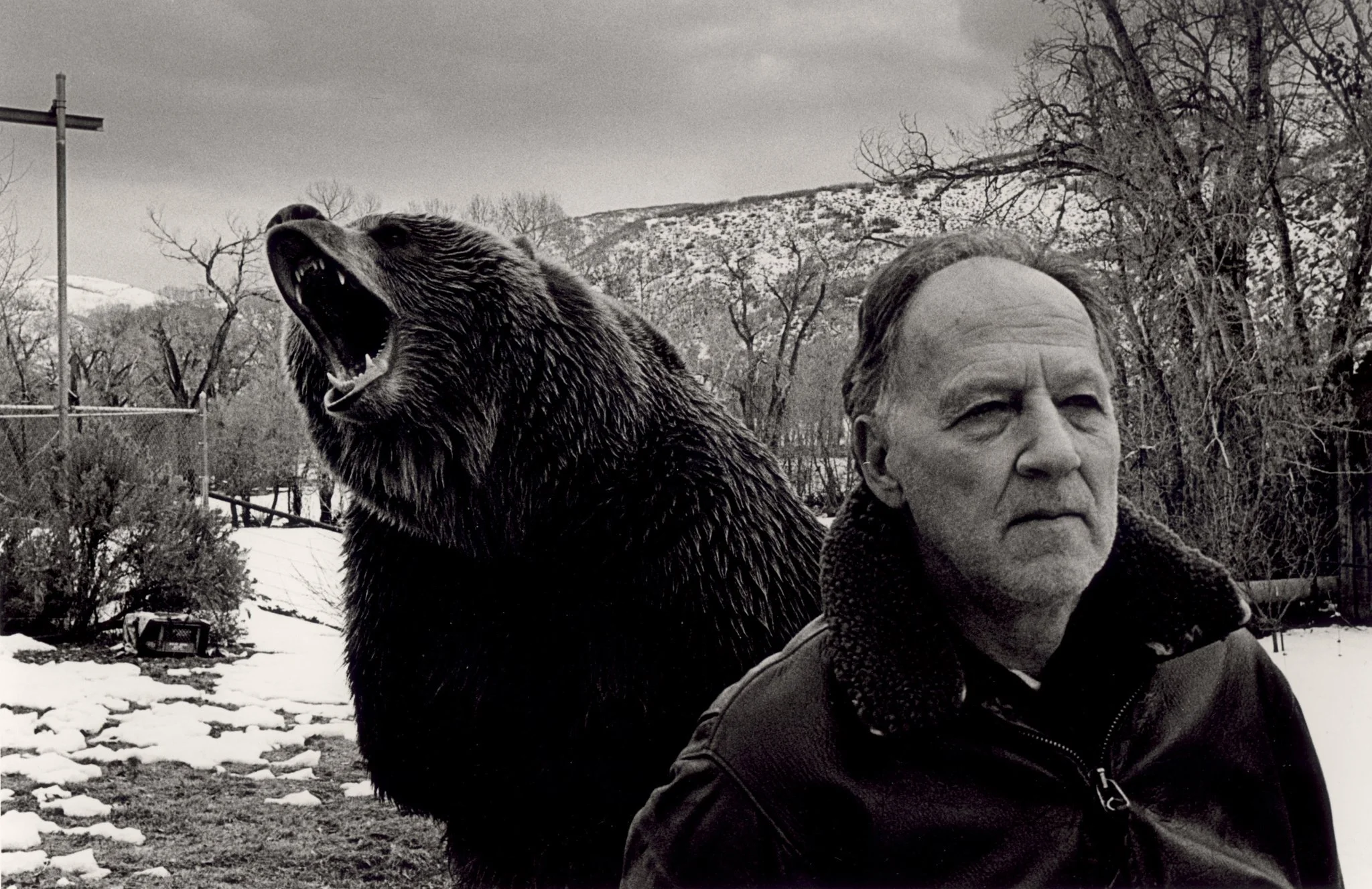 Werner+Grizzly.jpg