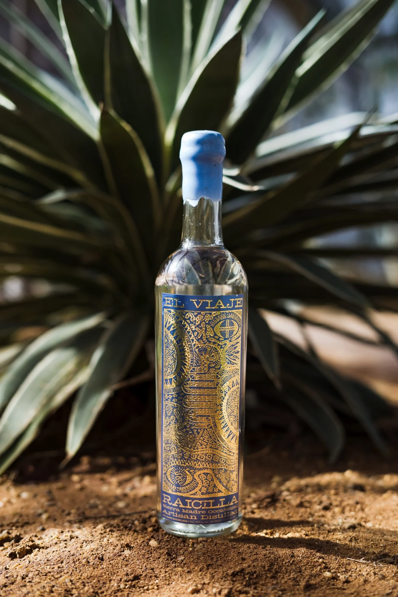 An El Viaje Raicilla bottle standing on earth in front of an agave plant.
