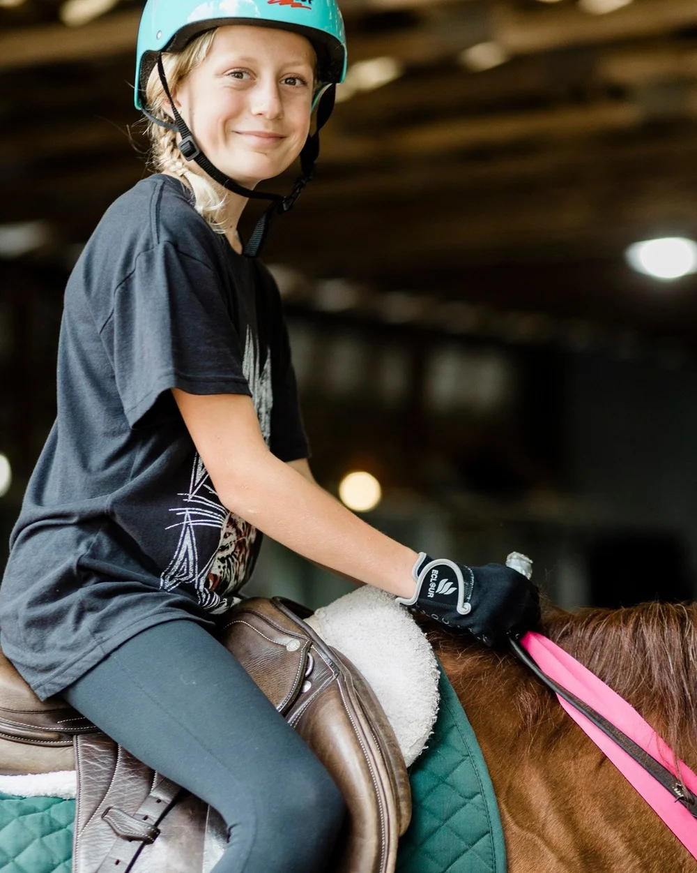 What We Offer — Perennial Farm Riding Academy