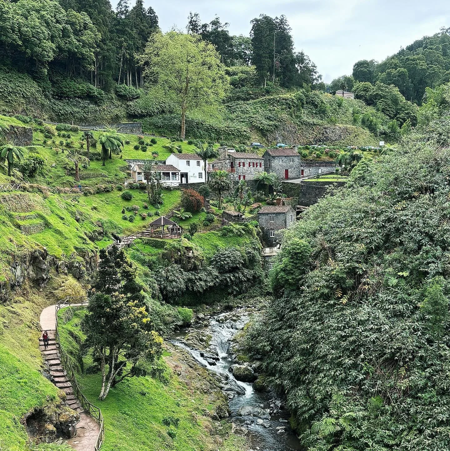 S&Atilde;O MIGUEL, AZORES 

Remember that time I went to the Azores for 48 hours with @alix.hv back in April? The very delayed highlight reel:
- Drove the whole island in one amazing day, endless cliffside views and unclear google maps detours. Only 