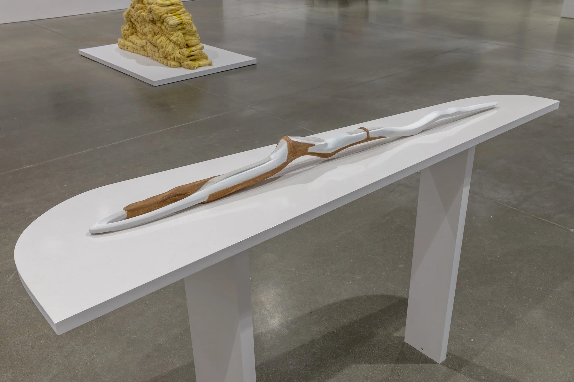 Invisible Ground of Sympathy installation view 27