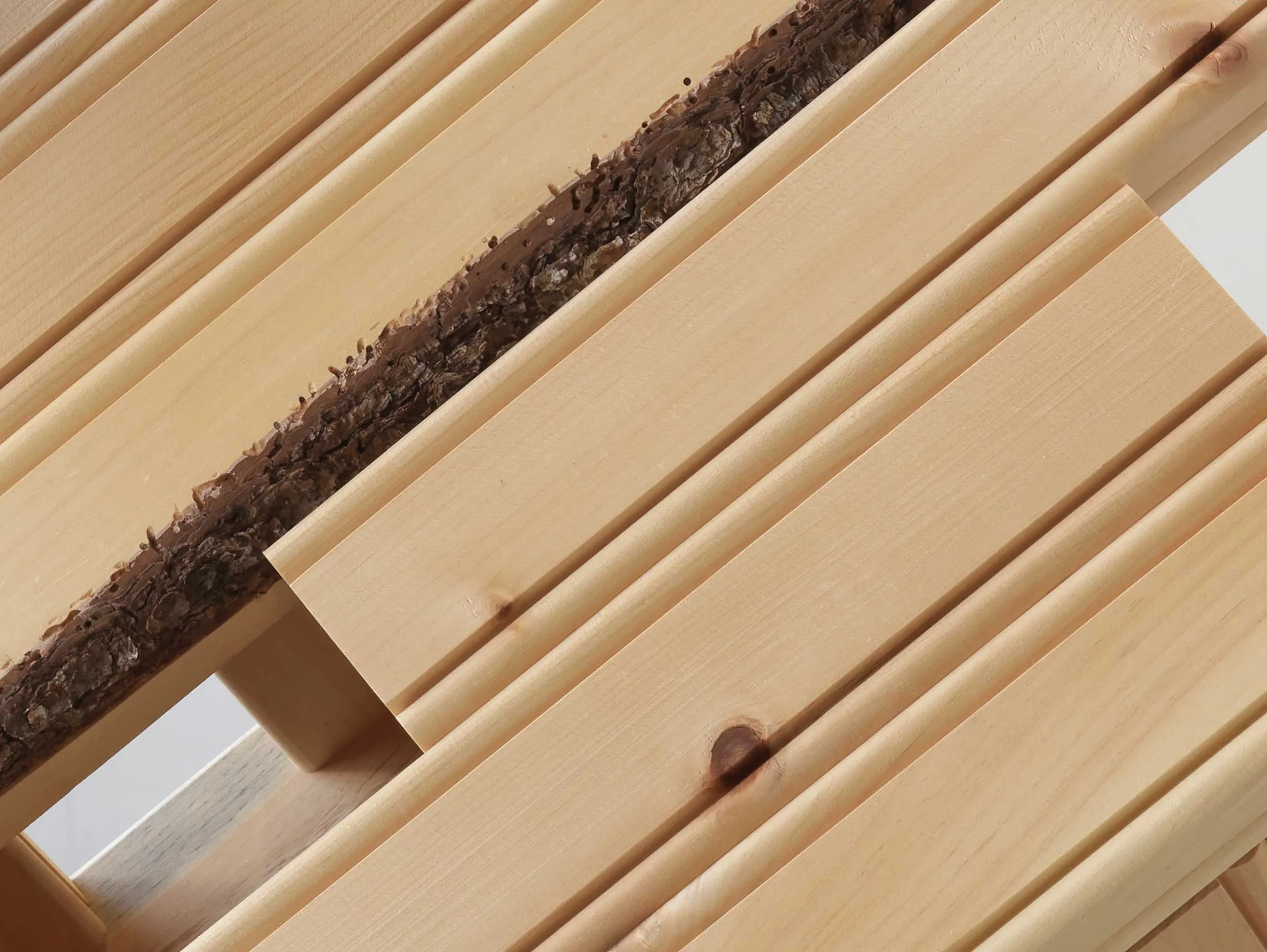 Five Fingers and a Thumb thumbnail, by Taylor Davis