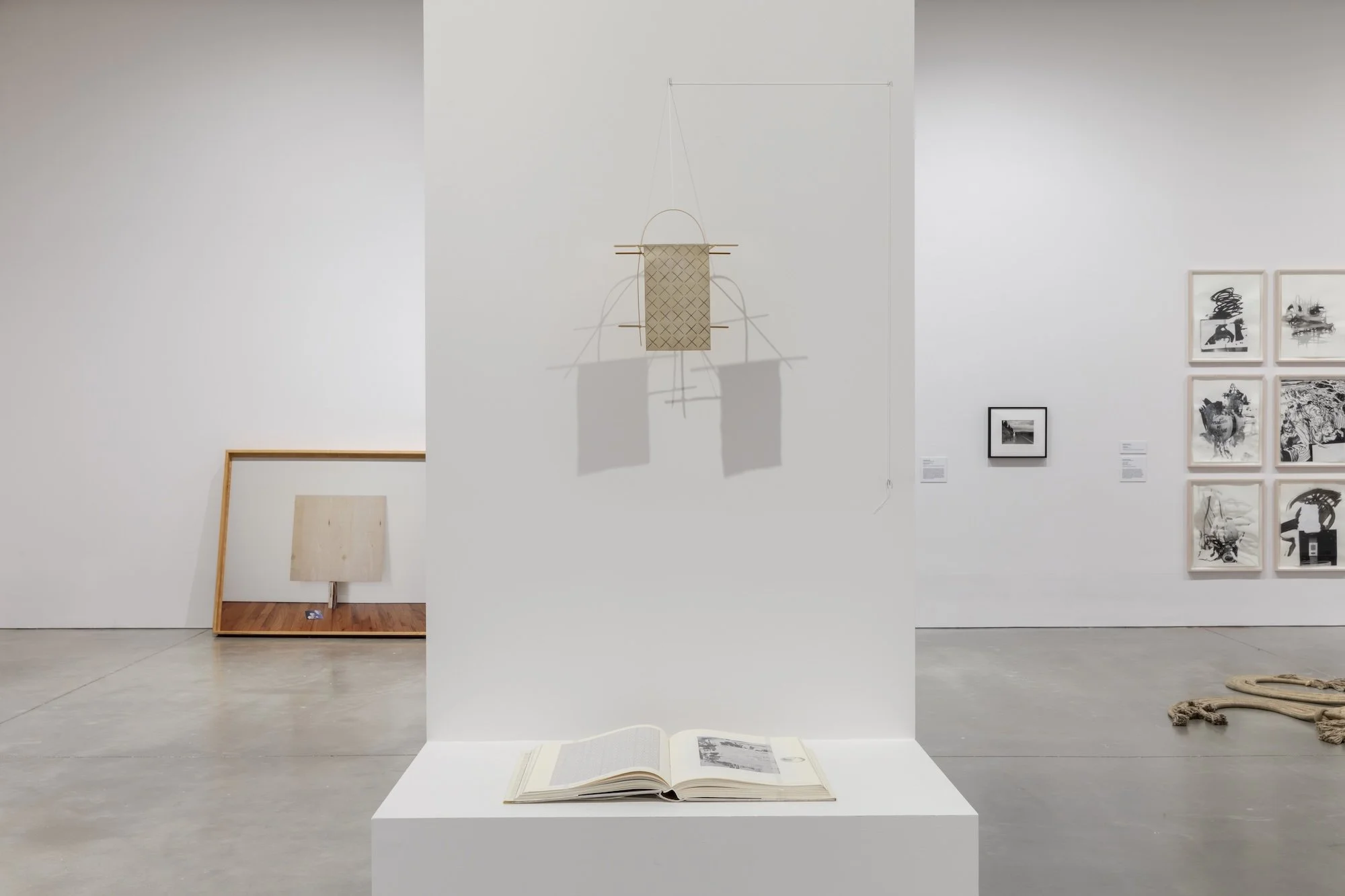 Invisible Ground of Sympathy installation view 16