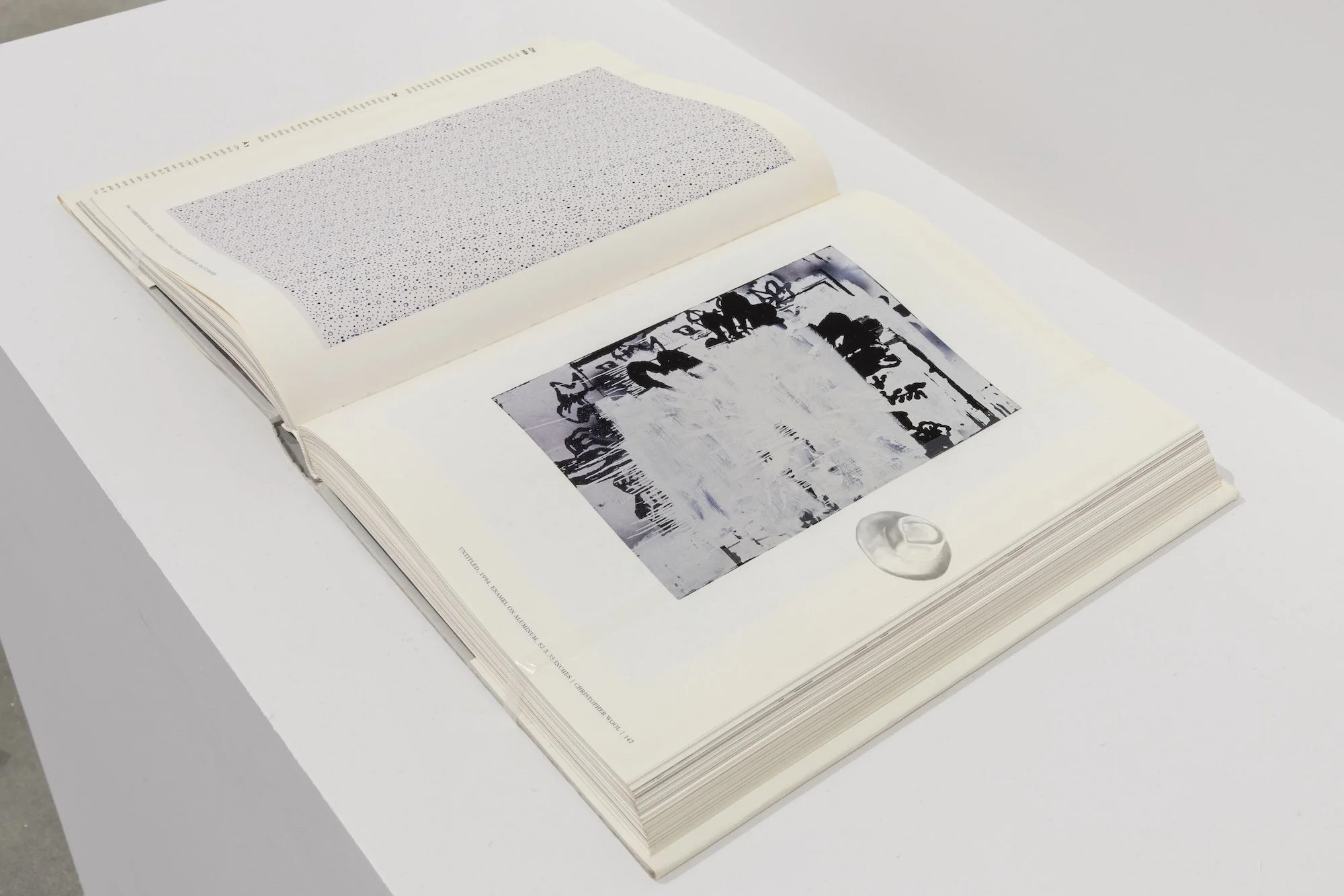 Invisible Ground of Sympathy installation view 17