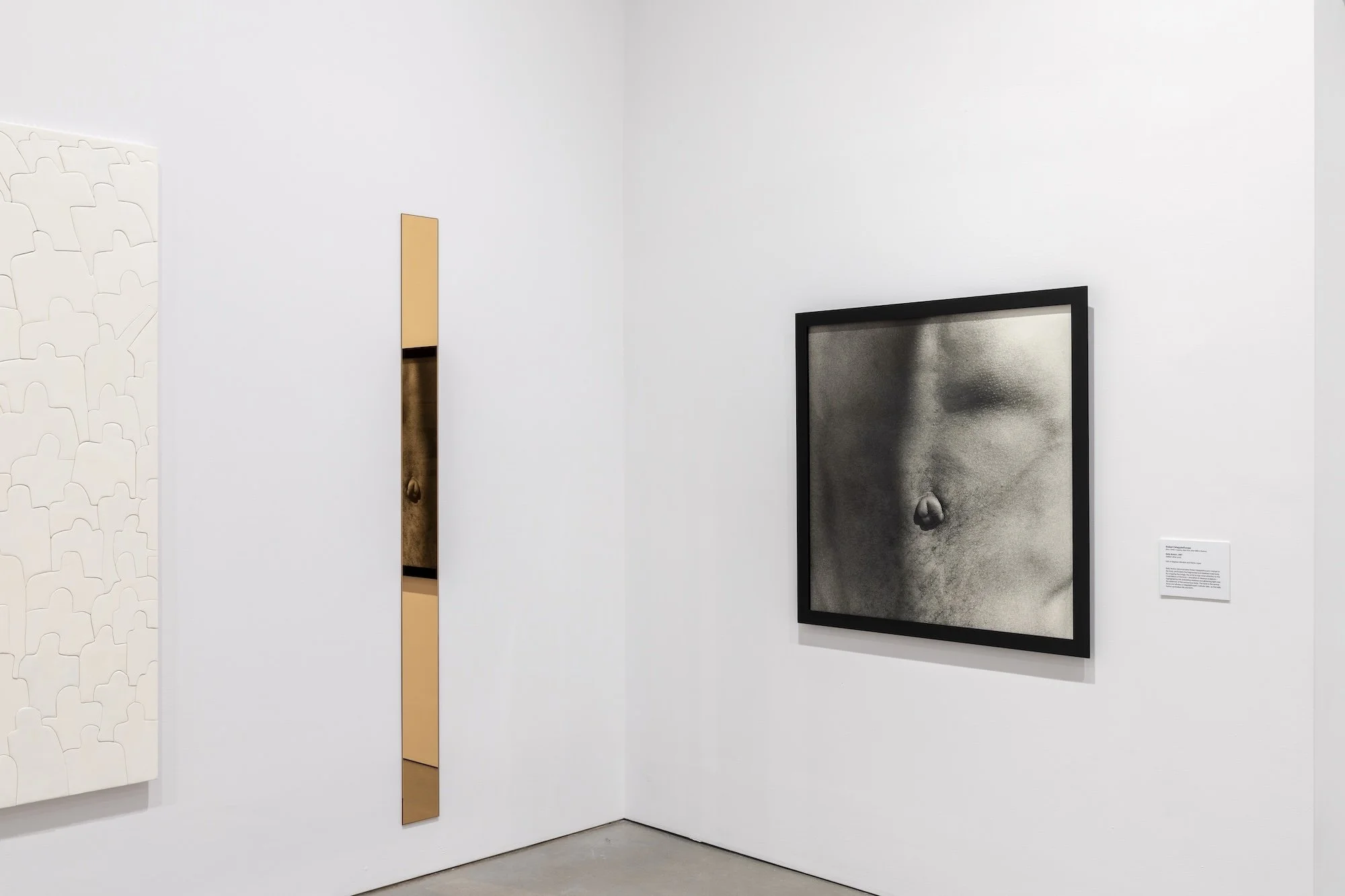 Invisible Ground of Sympathy installation view 32