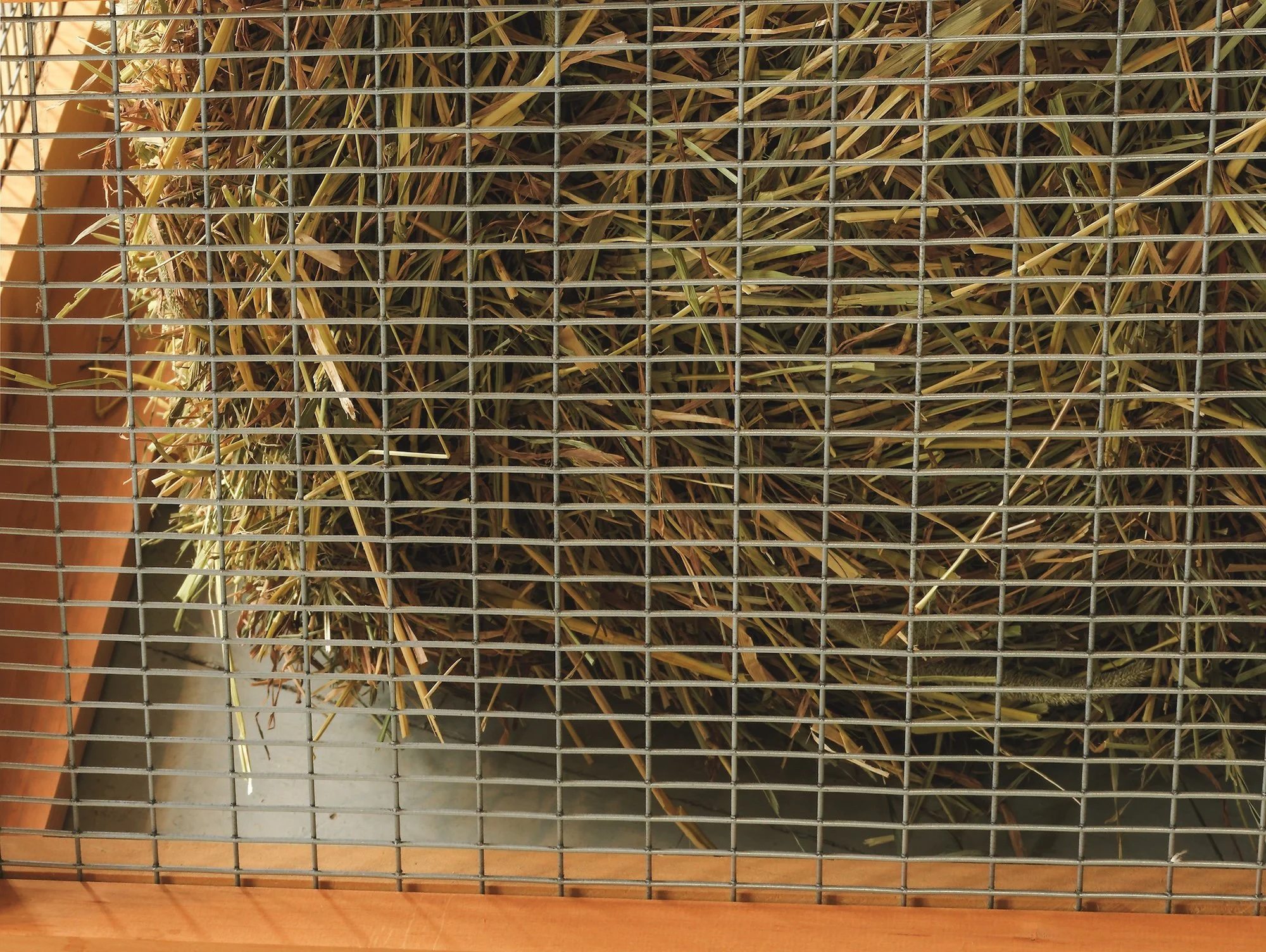 Sweet Timothy, 2005, pine, steel fencing and bale of sweet timothy and alfalfa, 21 x 26 x 42 inches 