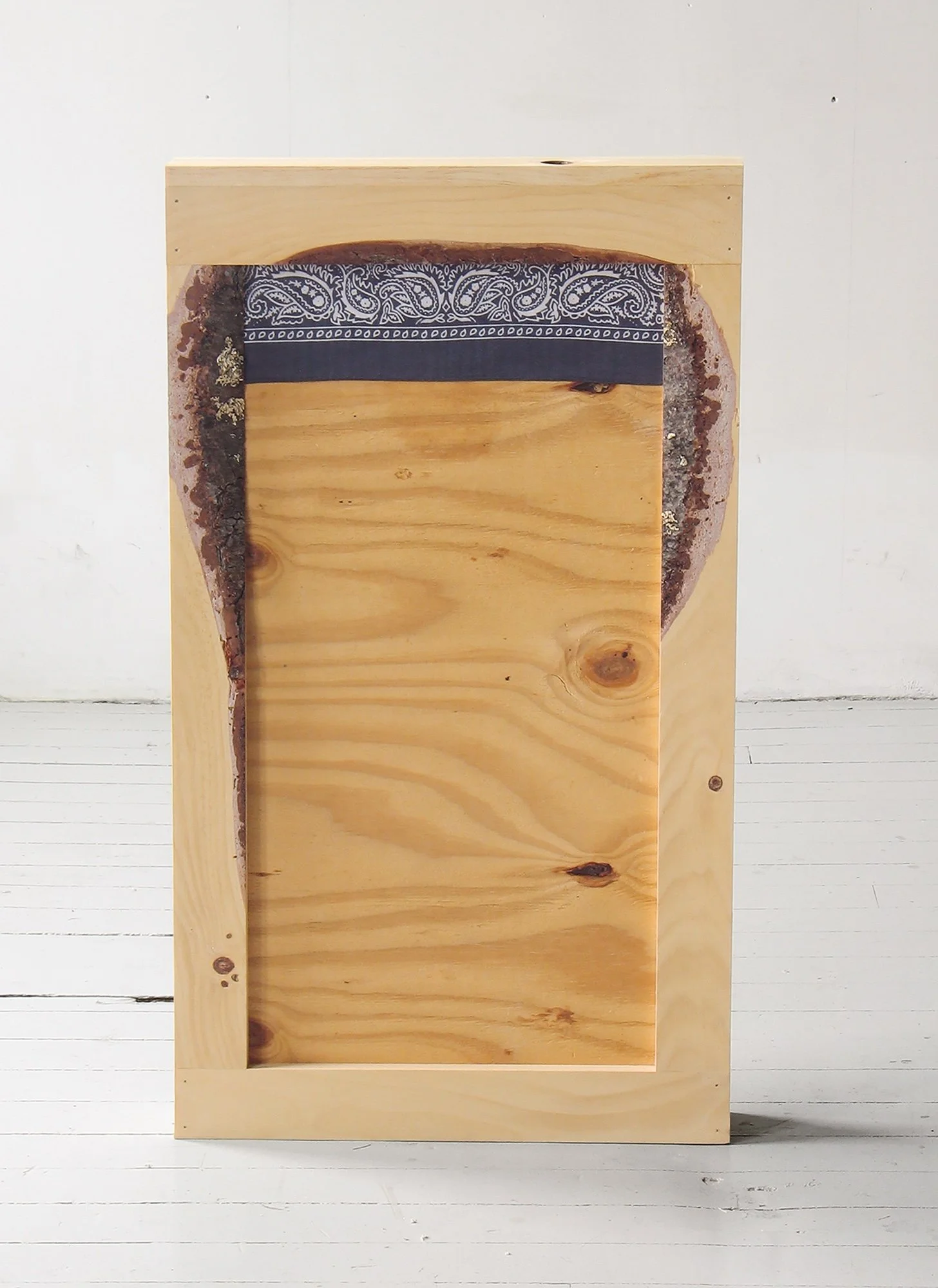 Moses Lake, 2006, pine, plywood and cotton bandana, 42 x 21 x 4 inches, other side