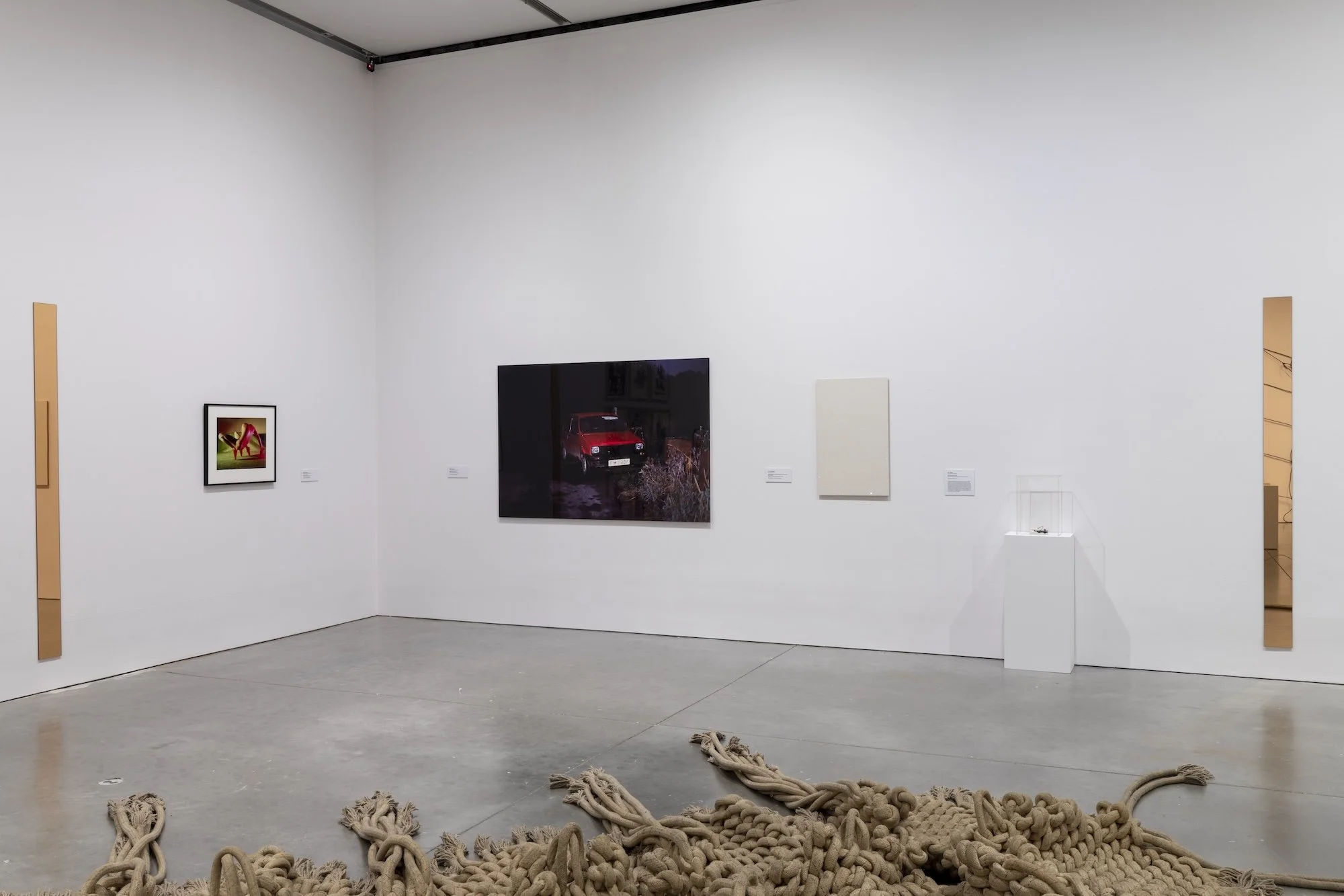 Invisible Ground of Sympathy installation view 11
