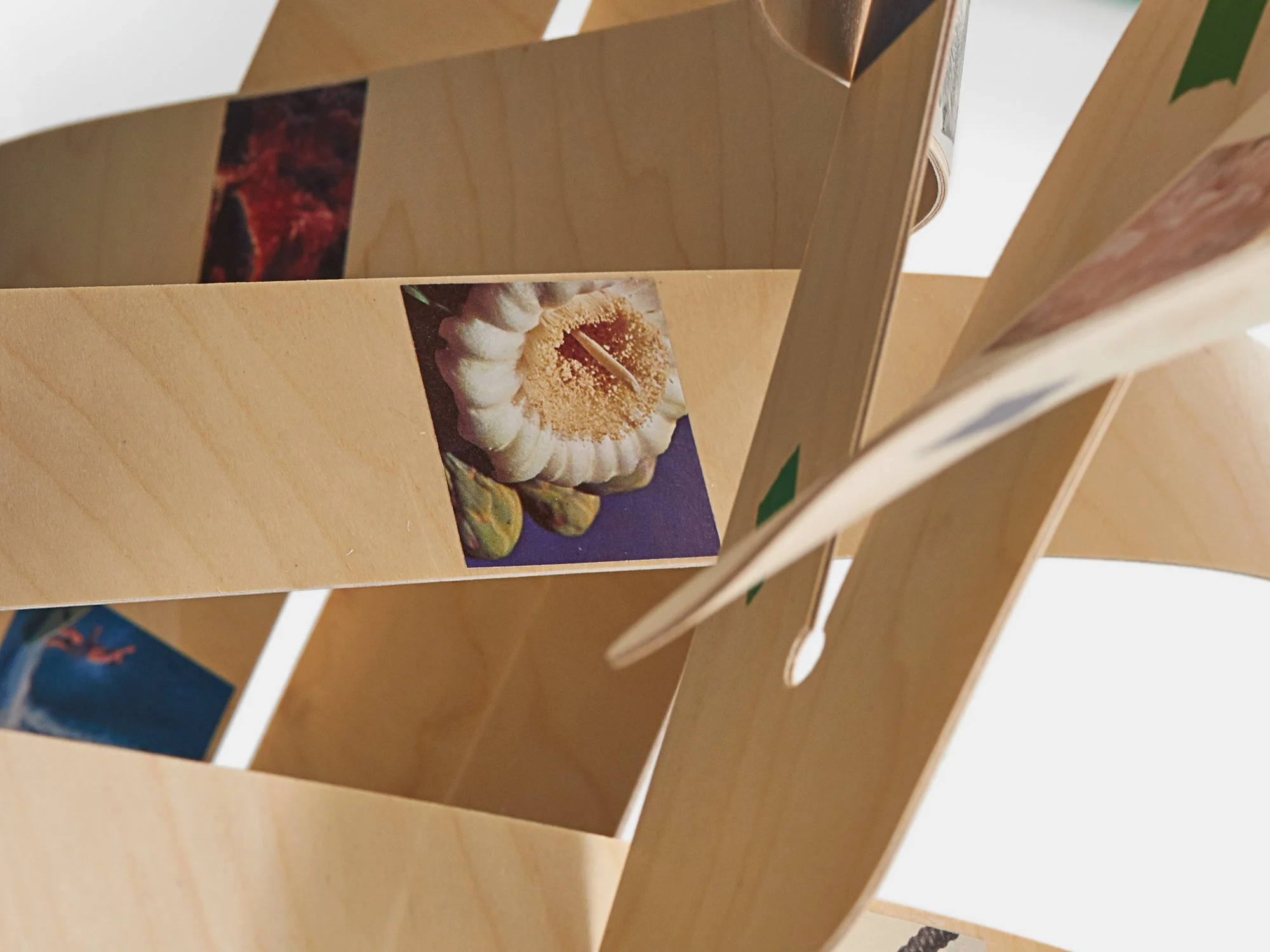 Detail photo of Mobile #3