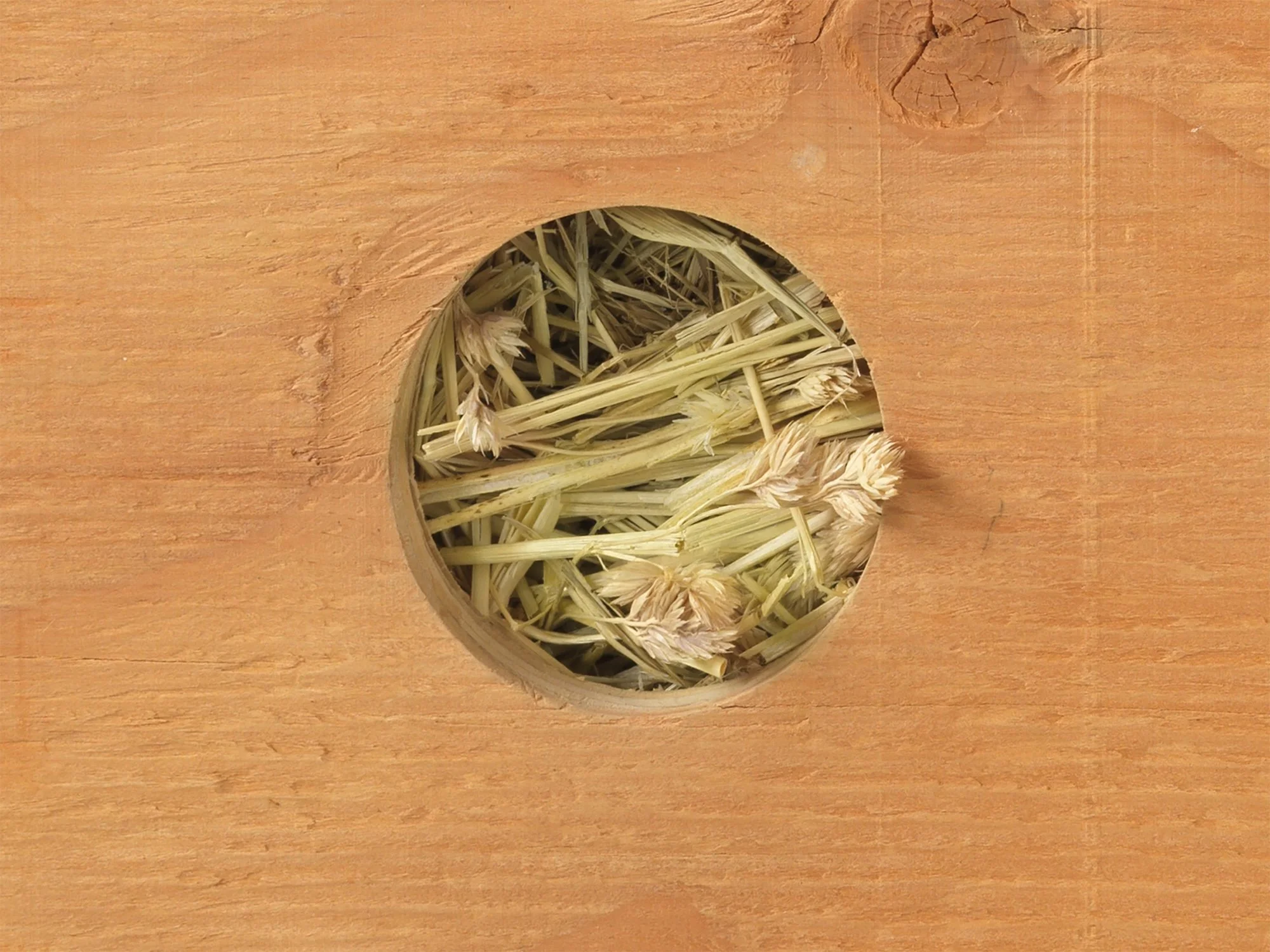 Farmer’s Daughter #2, 2005, plywood, pine and bale of sweet timothy and alfalfa, 16 x 20 x 37 inches, close destail