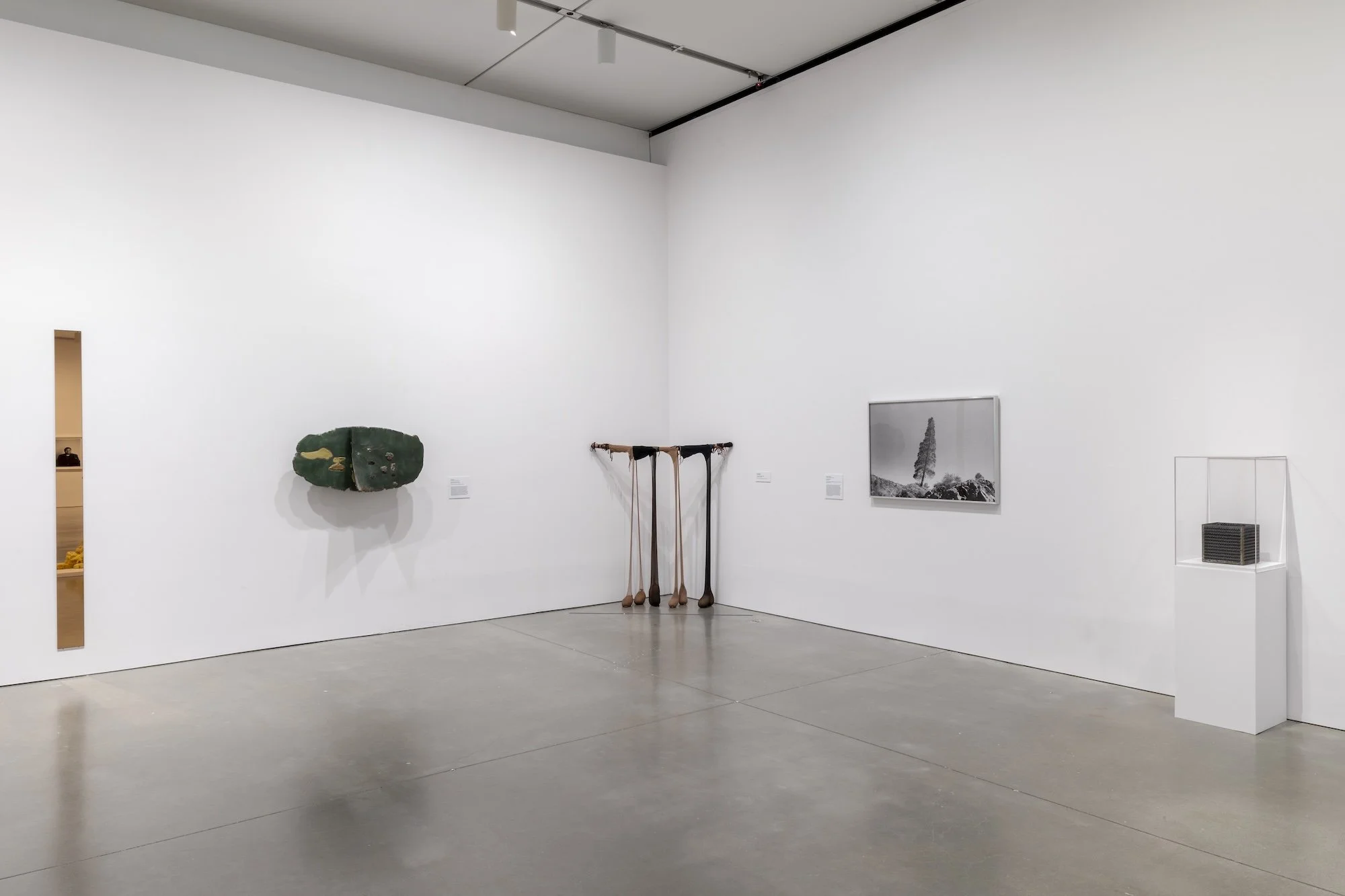 Invisible Ground of Sympathy installation view 28