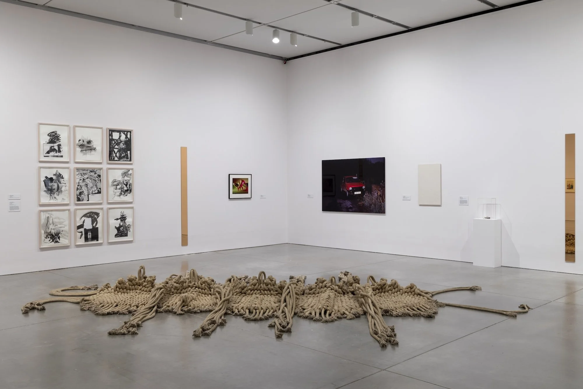 Invisible Ground of Sympathy installation view 10