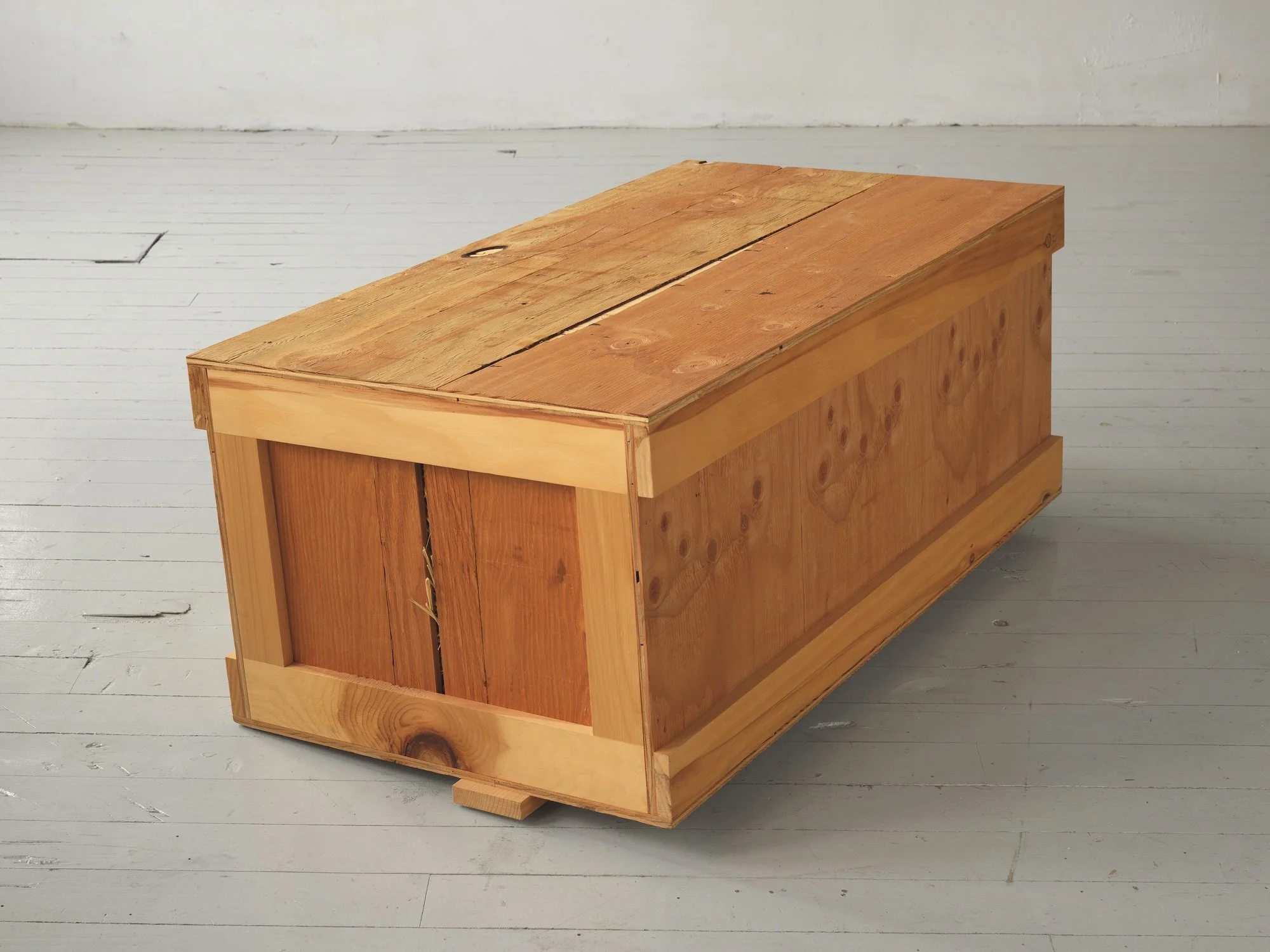 Farmer’s Daughter #2, 2005, plywood, pine and bale of sweet timothy and alfalfa, 16 x 20 x 37 inches, other view