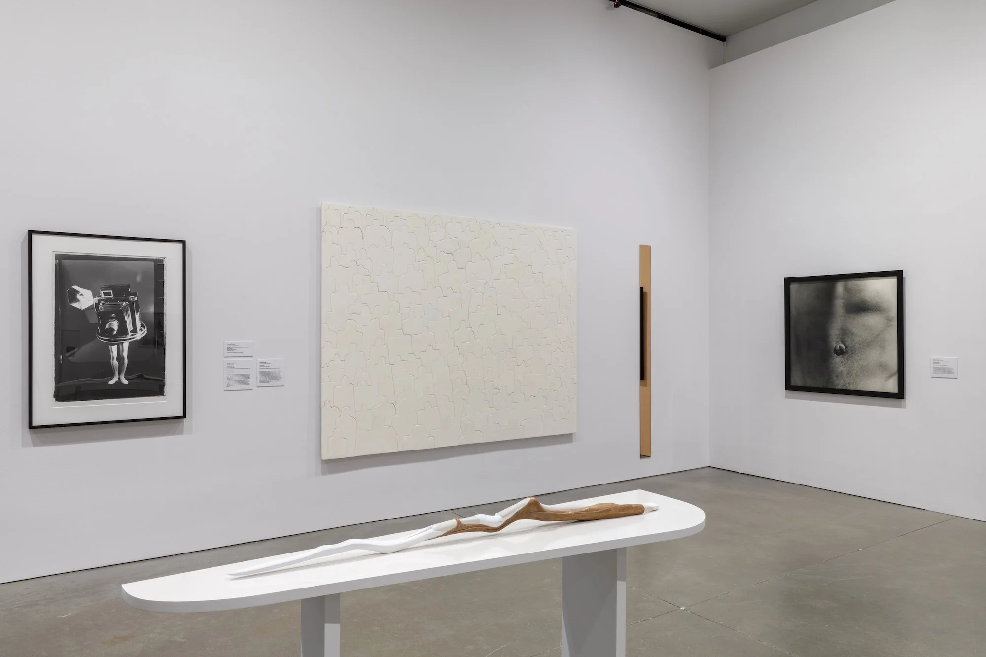 Invisible Ground of Sympathy installation view 31