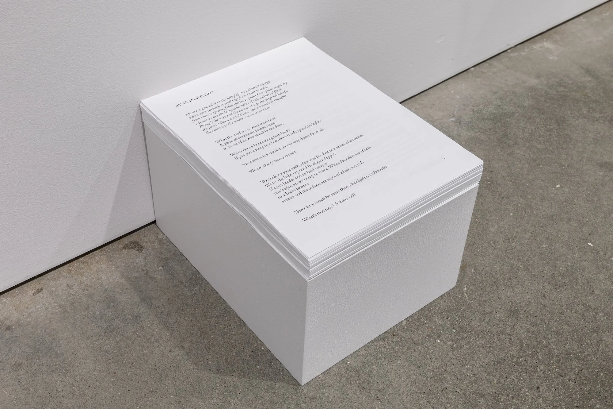 Invisible Ground of Sympathy installation view 7